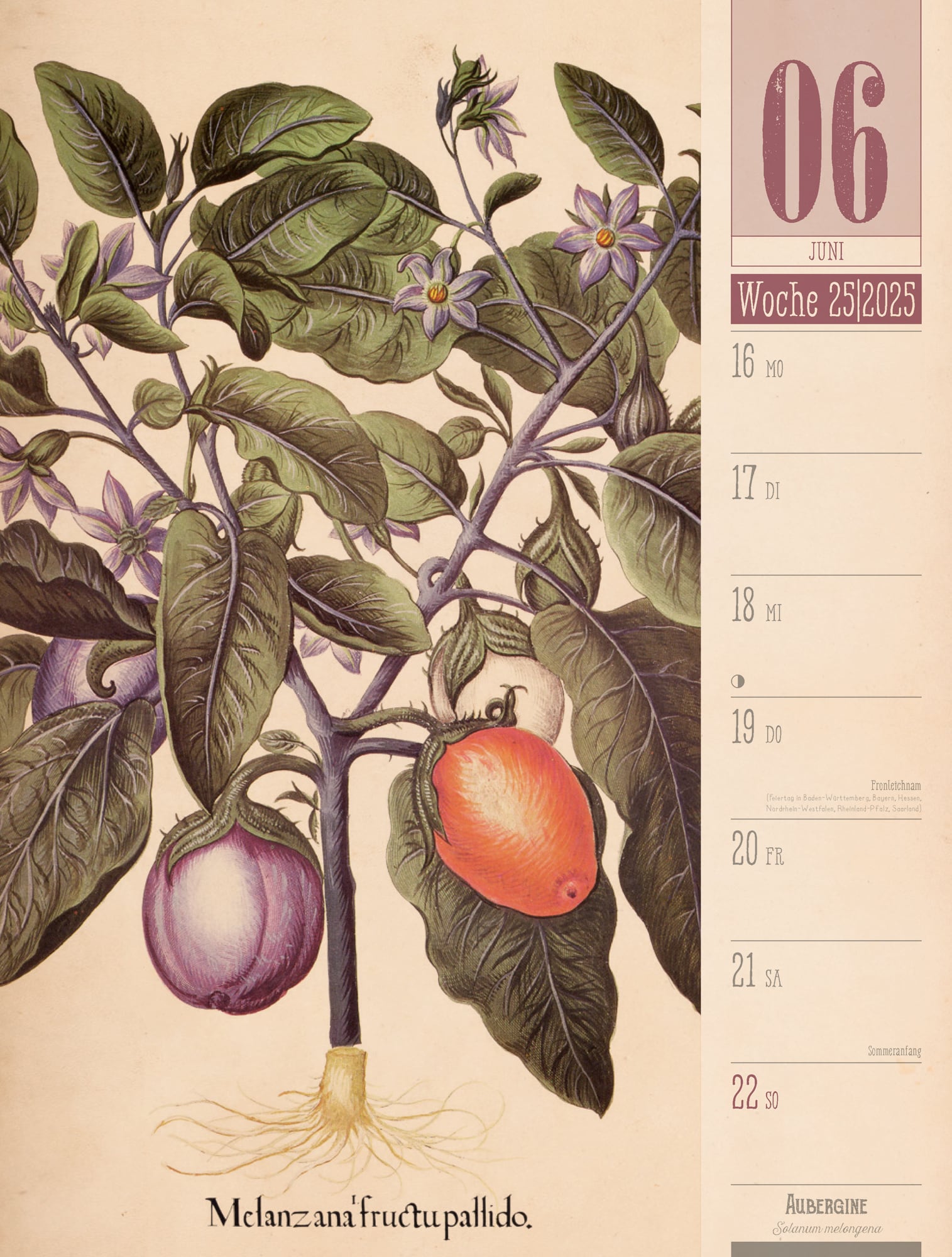 Ackermann Calendar Culinarium 2025 - Weekly Planner - Inside View 28