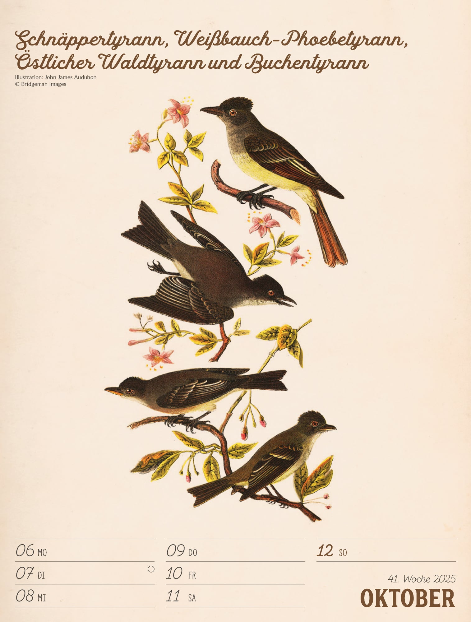 Ackermann Calendar The wonderful World of Birds 2025 - Weekly Planner - Inside View 44