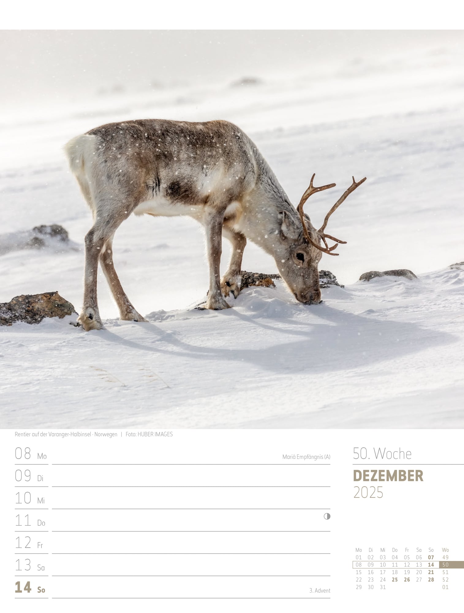 Ackermann Calendar Scandinavia 2025 - Weekly Planner - Inside View 53
