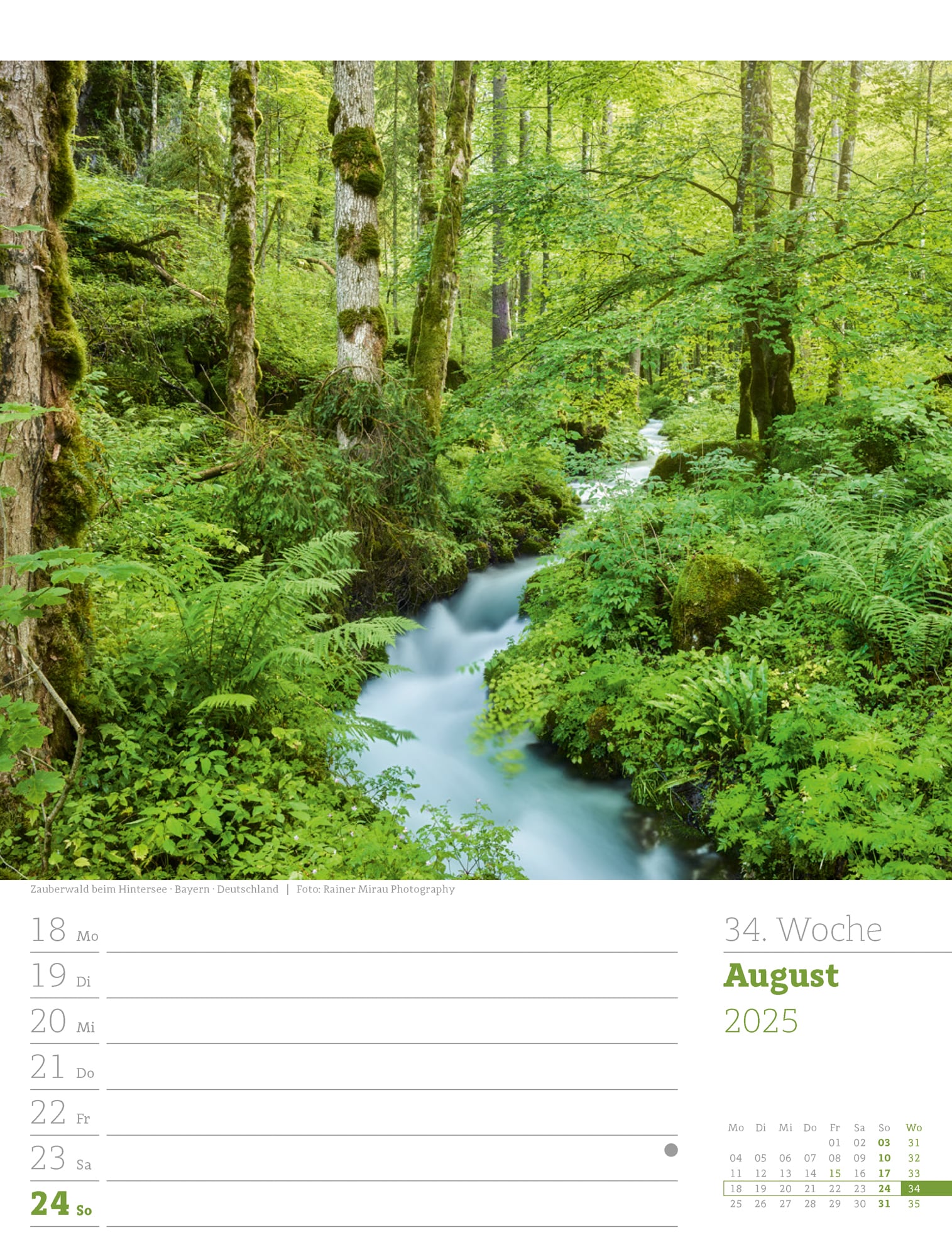 Ackermann Calendar Our Forest 2025 - Weekly Planner - Inside View 37