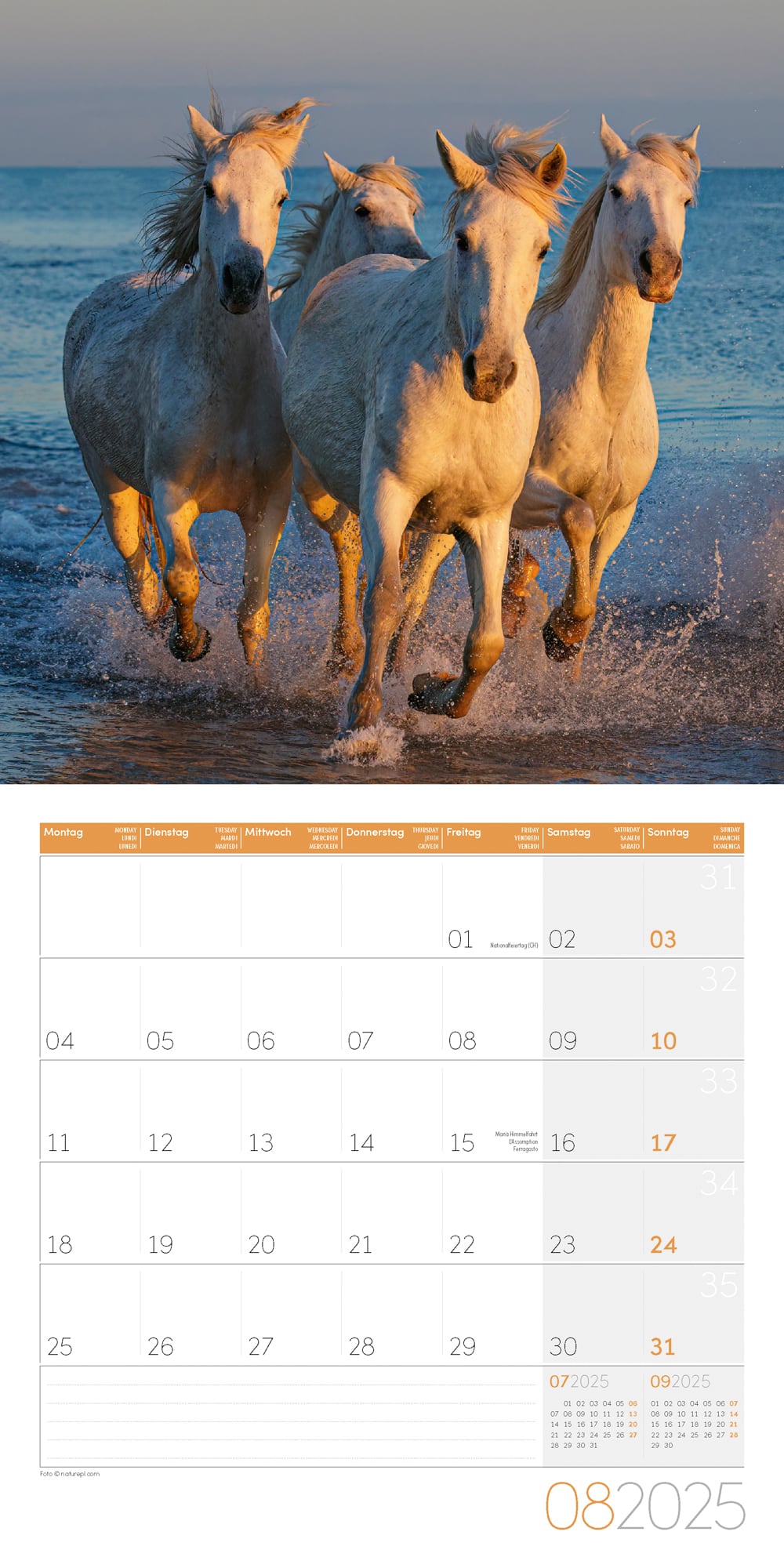 Art12 Collection Kalender Pferde 2025 - 30x30 - Innenansicht 08