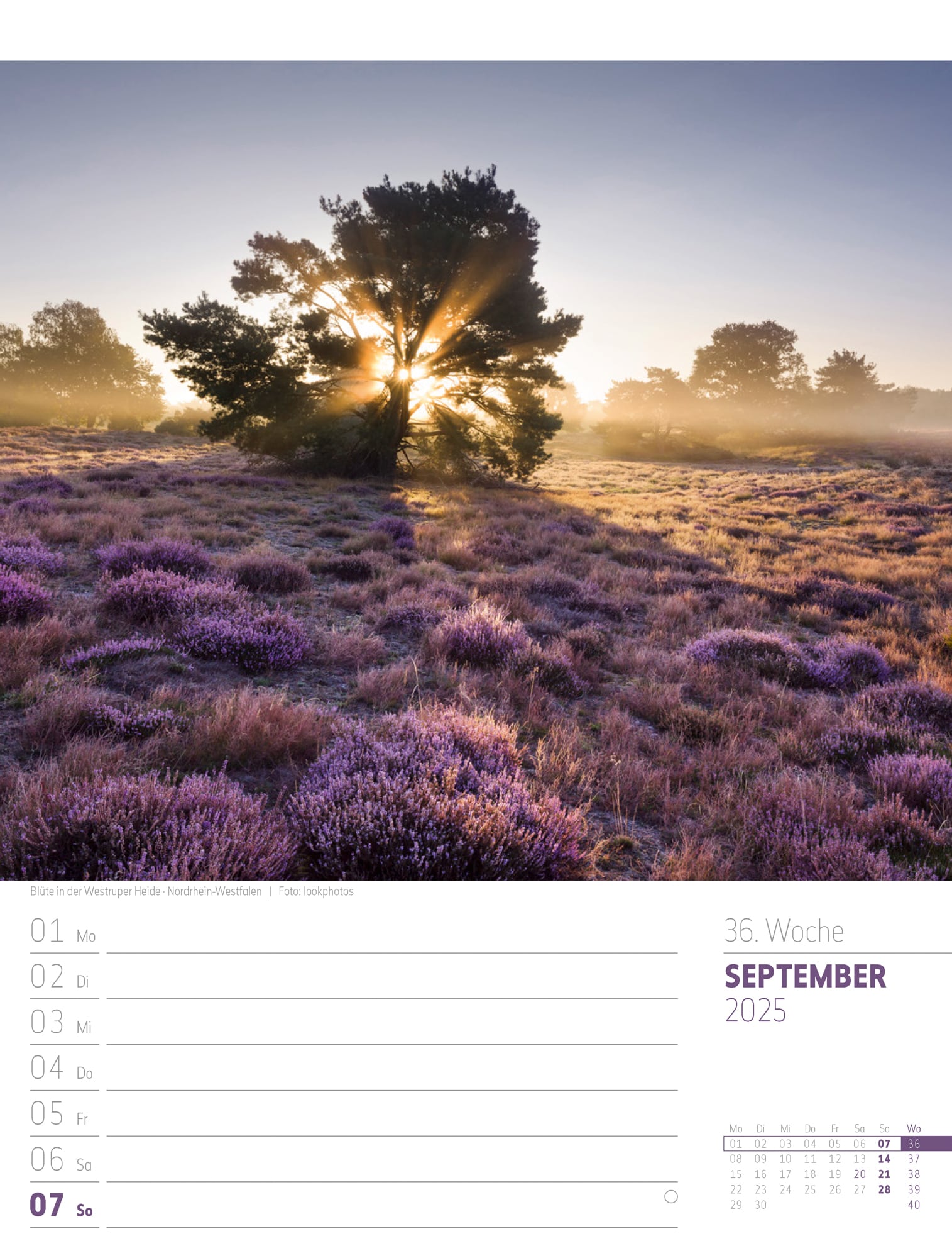 Ackermann Calendar Discover Germany 2025 - Weekly Planner - Inside View 39