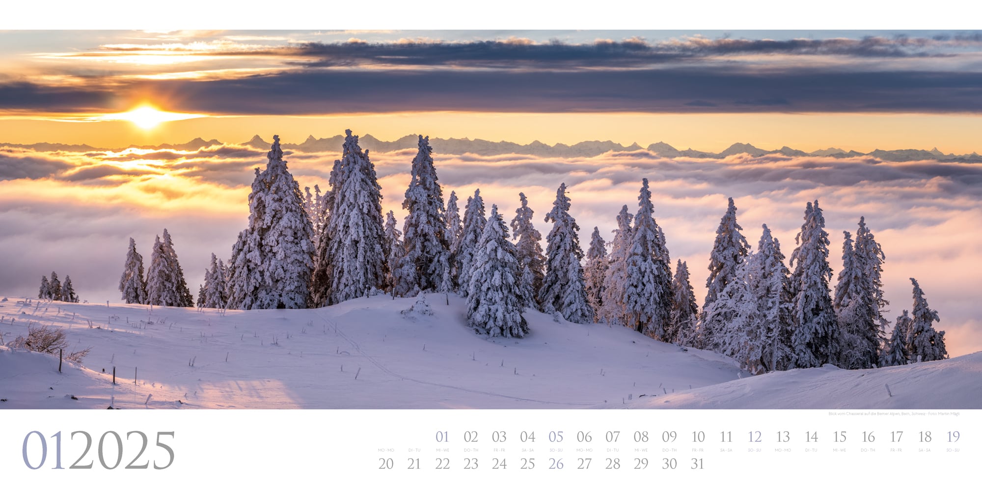 Ackermann Kalender Wilde Wälder 2025 - Innenansicht 01