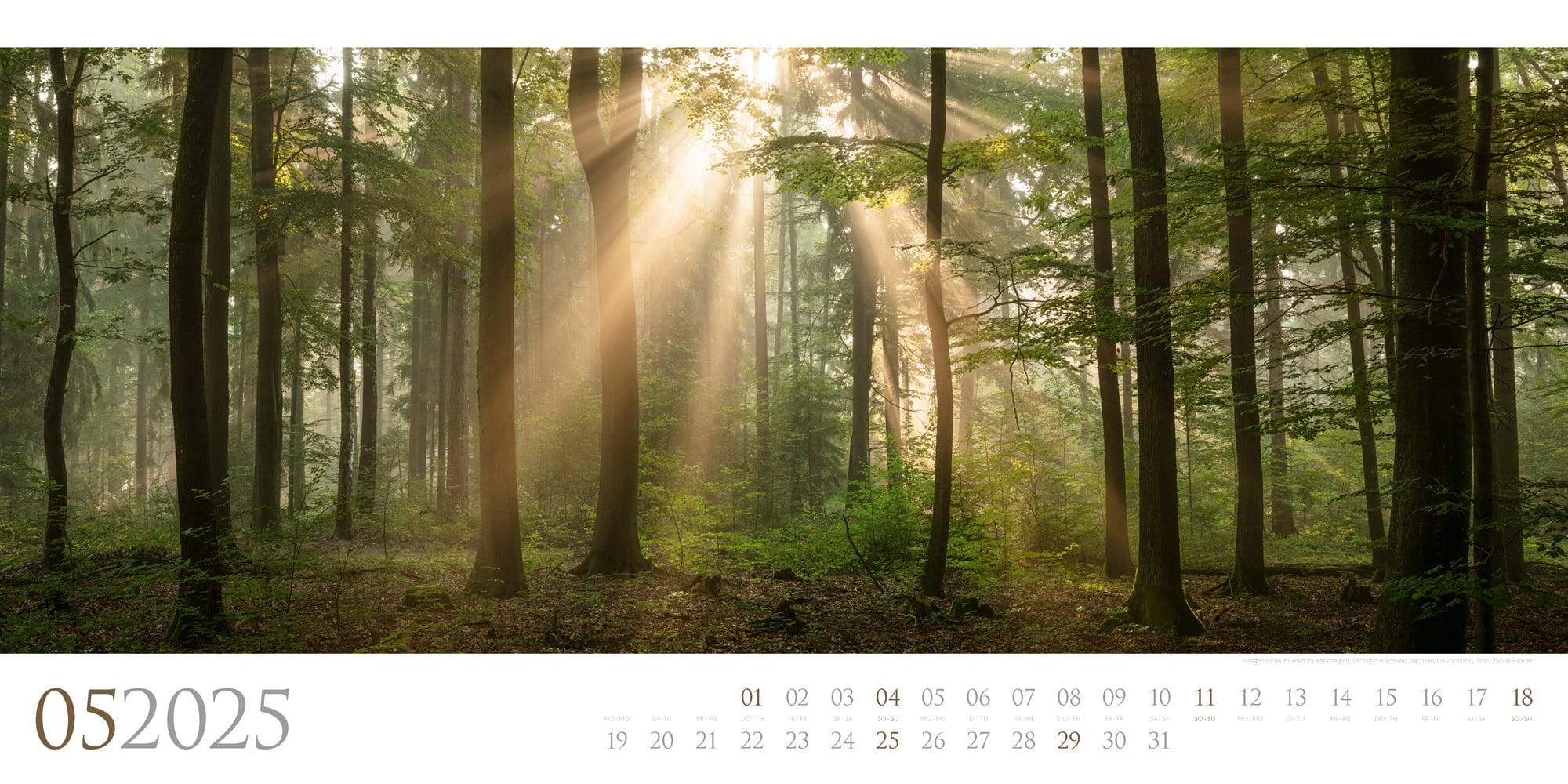 Ackermann Kalender Wilde Wälder 2025 - Innenansicht 05