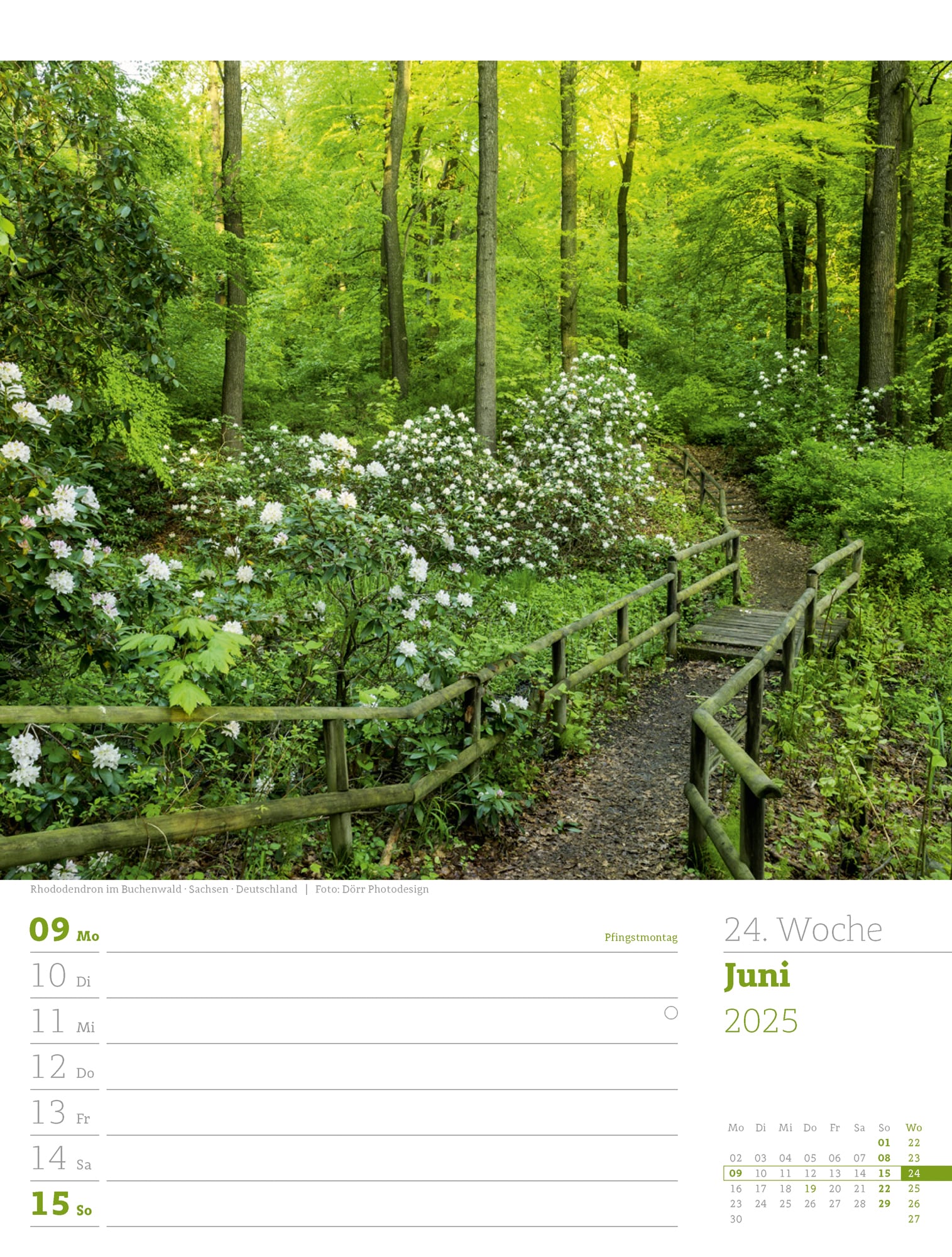 Ackermann Calendar Our Forest 2025 - Weekly Planner - Inside View 27