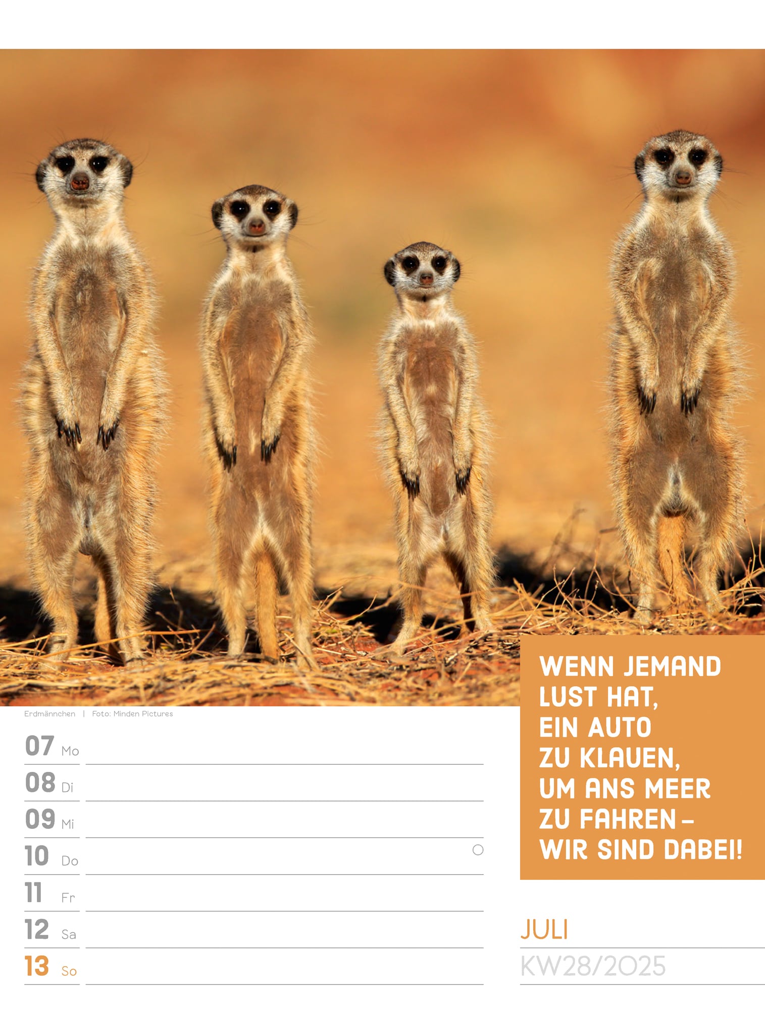Ackermann Calendar Animals 2025 - Weekly Planner - Inside View 31