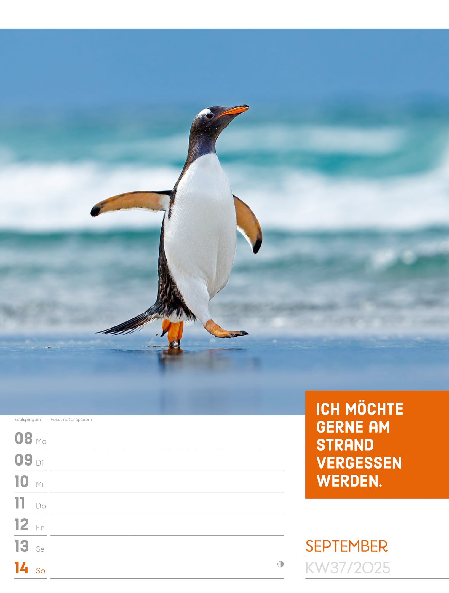 Ackermann Calendar Animals 2025 - Weekly Planner - Inside View 40