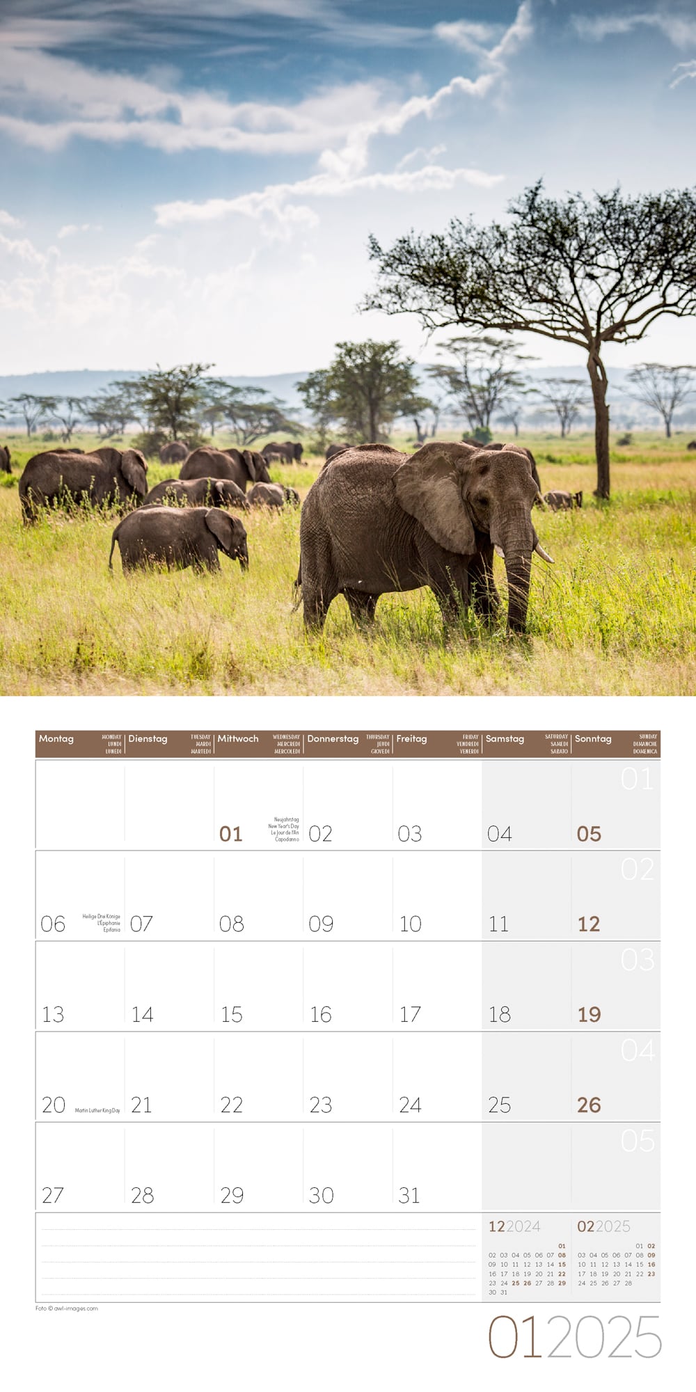 Art12 Collection Kalender Elefanten 2025 - 30x30 - Innenansicht 01