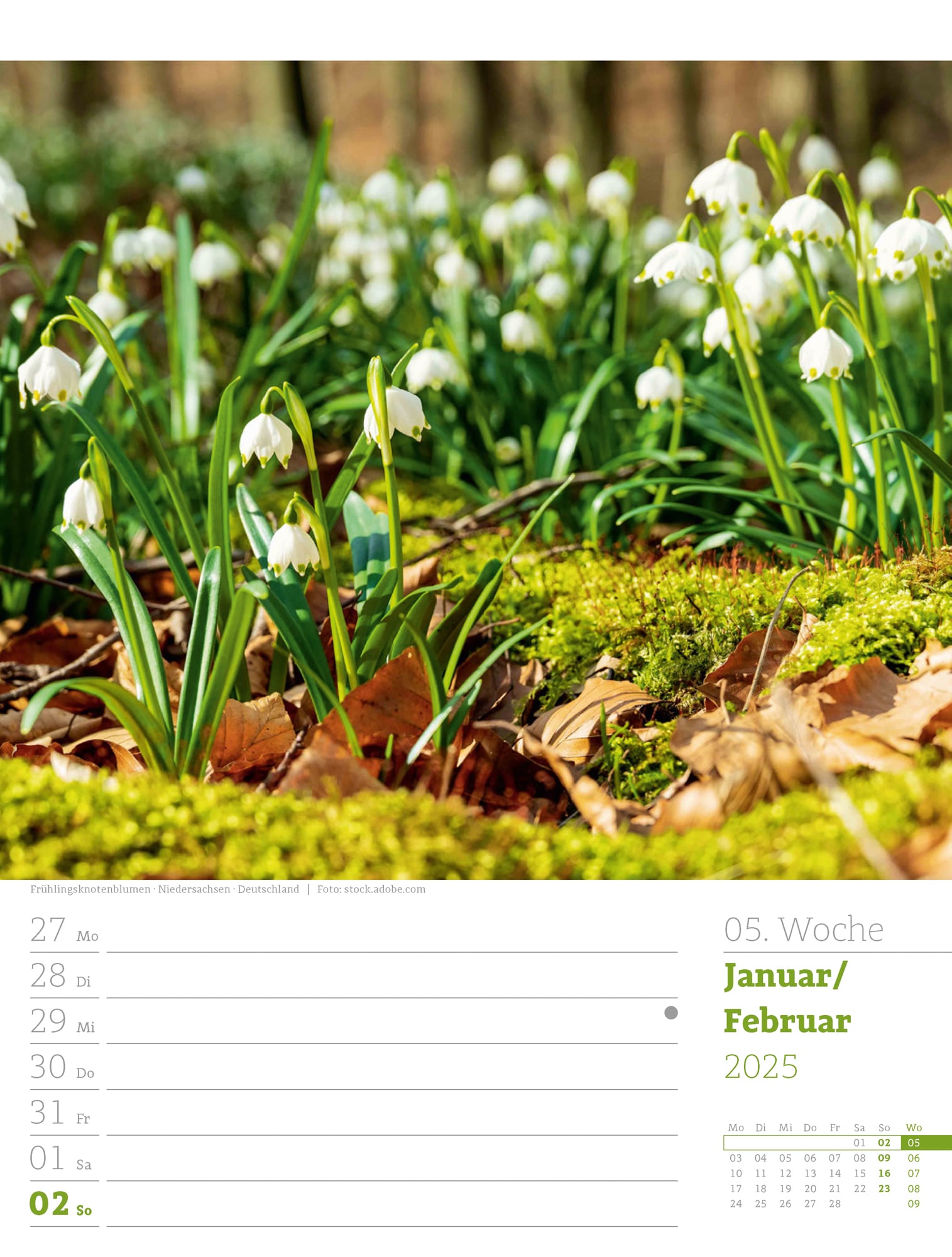 Ackermann Calendar Our Forest 2025 - Weekly Planner - Inside View 08