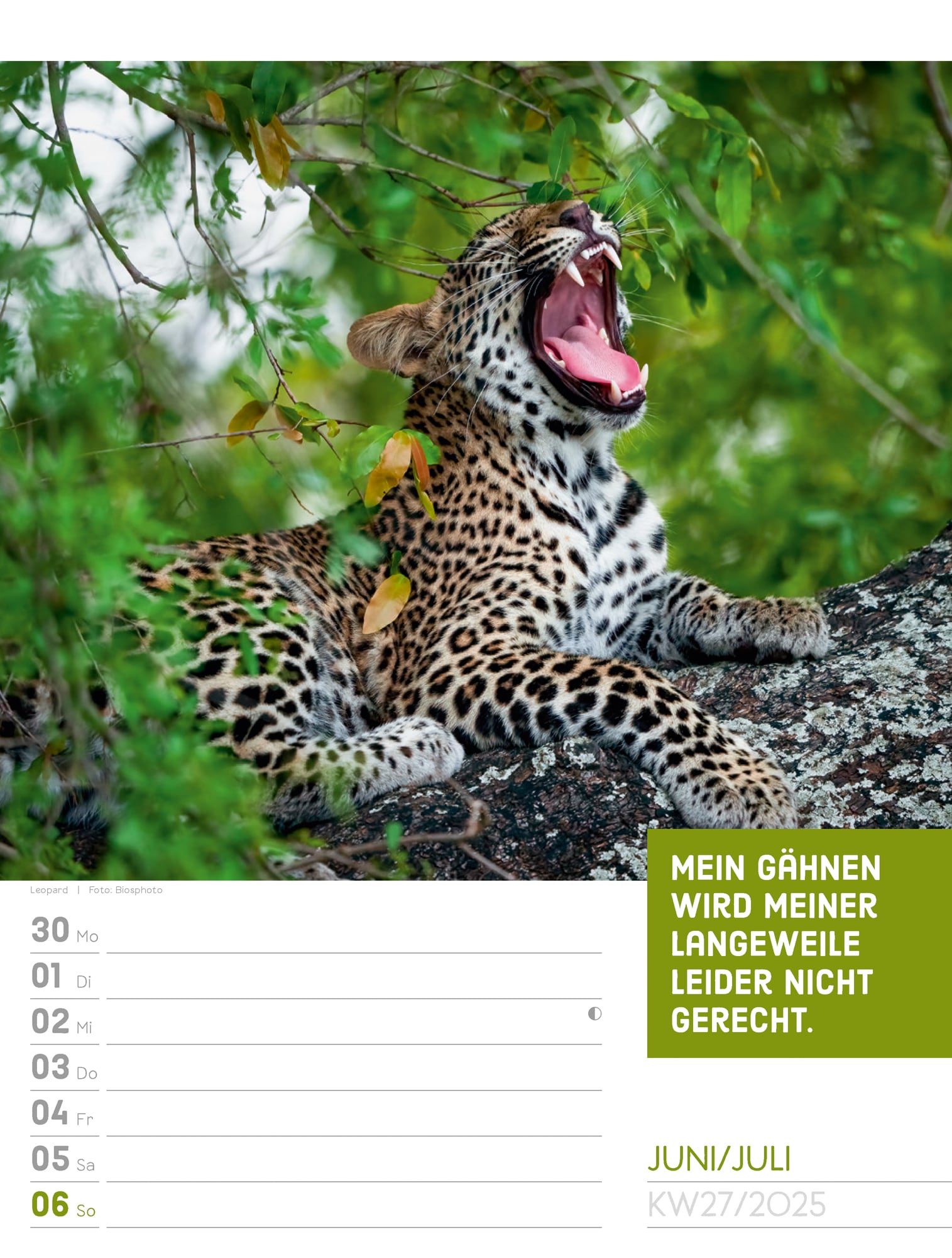 Ackermann Calendar Animals 2025 - Weekly Planner - Inside View 30