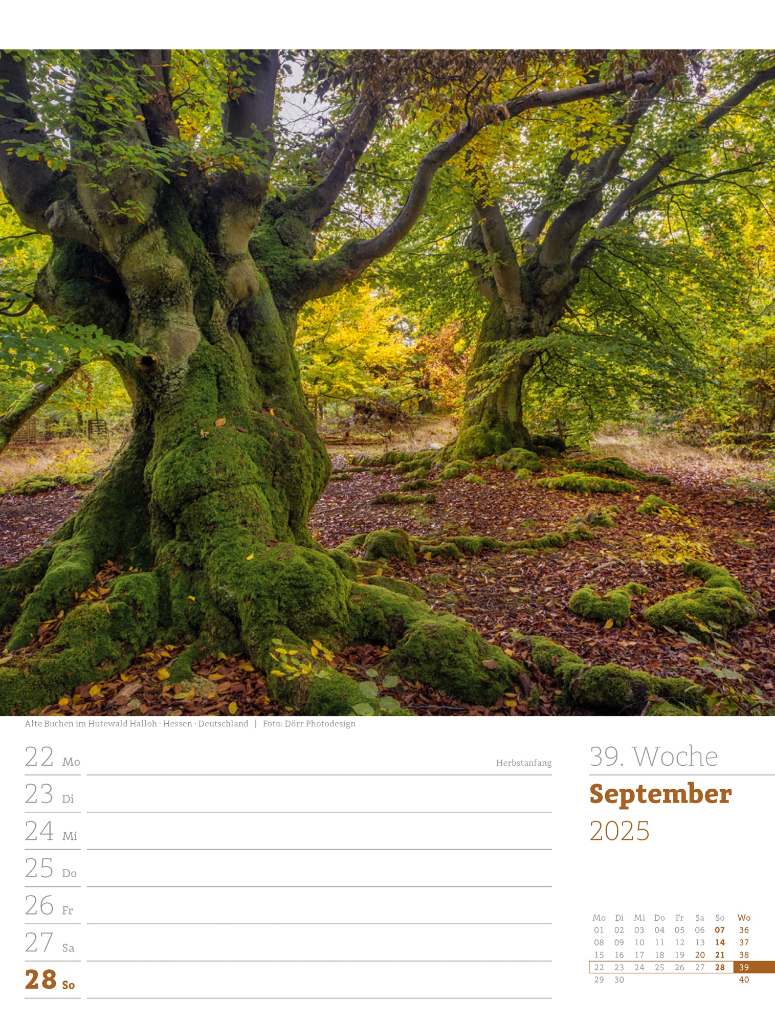 Ackermann Calendar Our Forest 2025 - Weekly Planner - Inside View 42