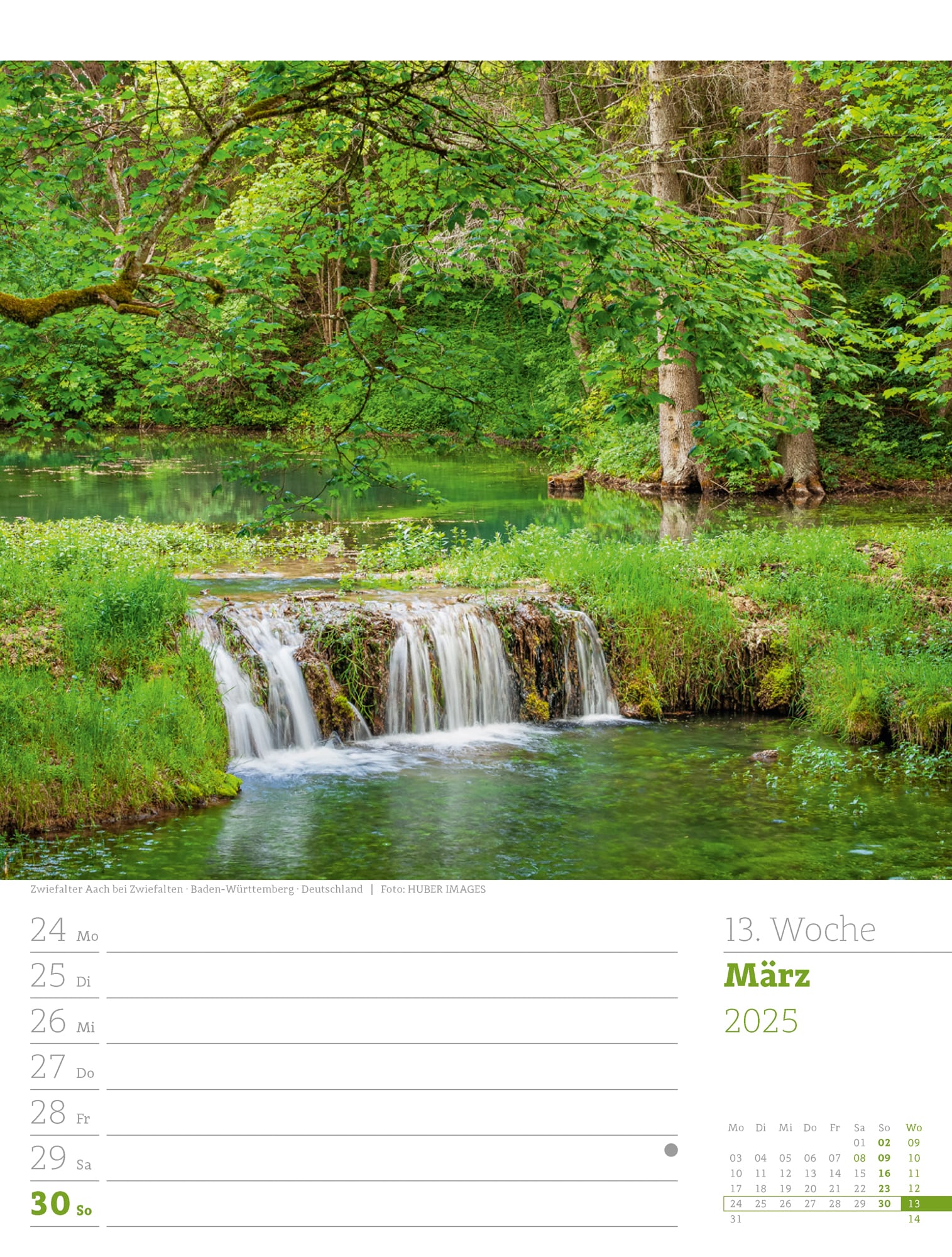 Ackermann Calendar Our Forest 2025 - Weekly Planner - Inside View 16