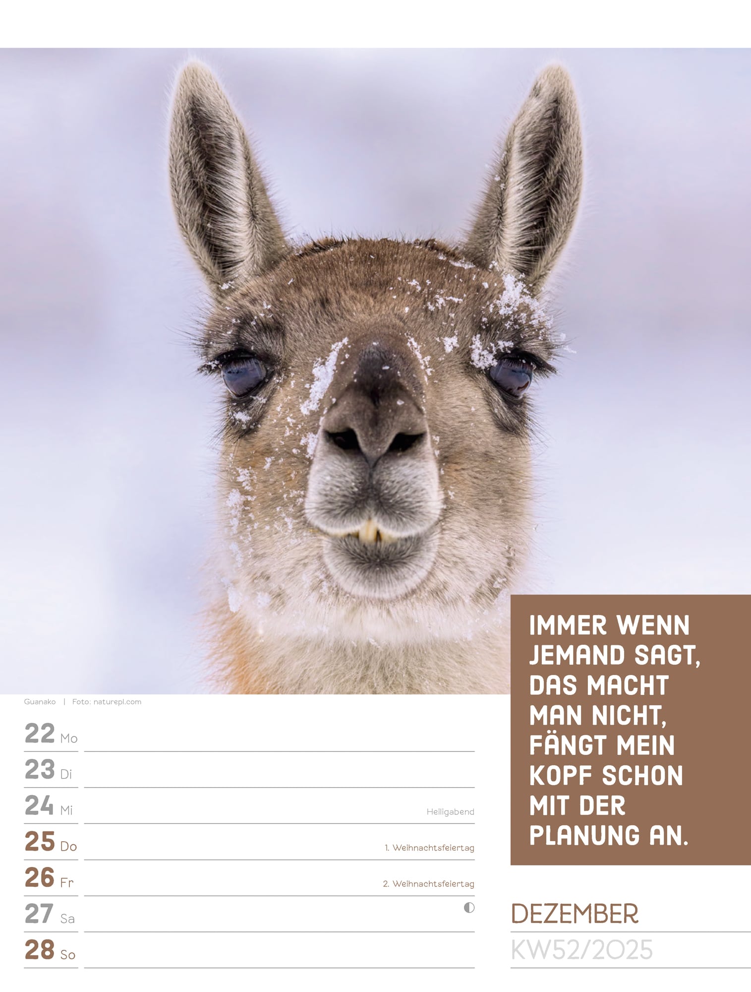Ackermann Calendar Animals 2025 - Weekly Planner - Inside View 55