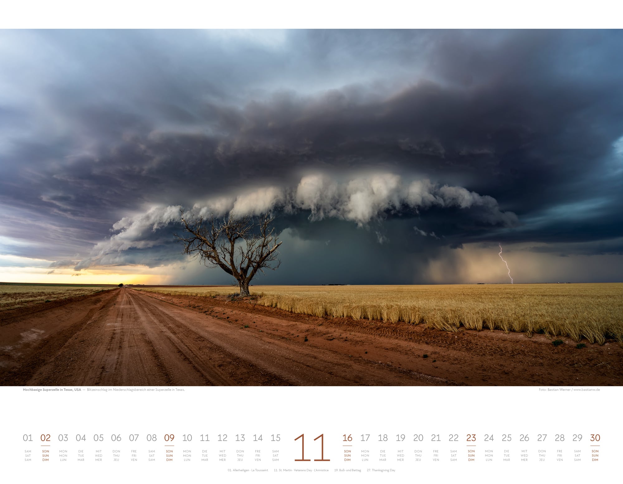 Ackermann Calendar Forces of Nature 2025 - Inside View 11