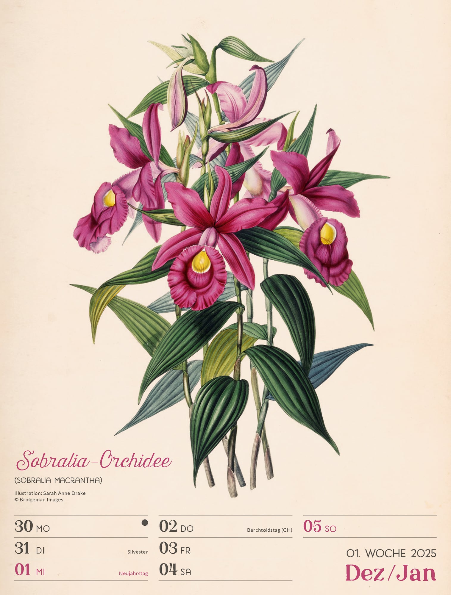 Ackermann Calendar Ars Floralis 2025 - Weekly Planner - Inside View 01