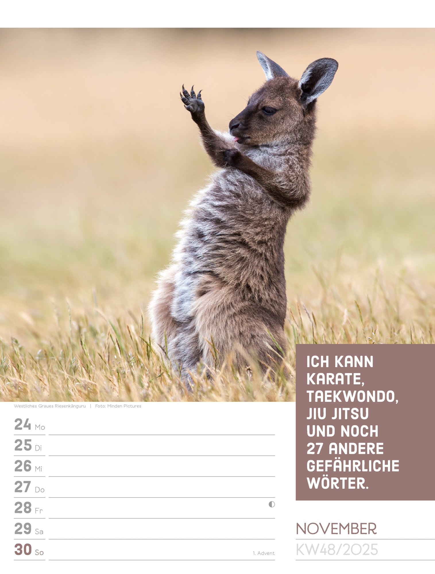 Ackermann Calendar Animals 2025 - Weekly Planner - Inside View 51
