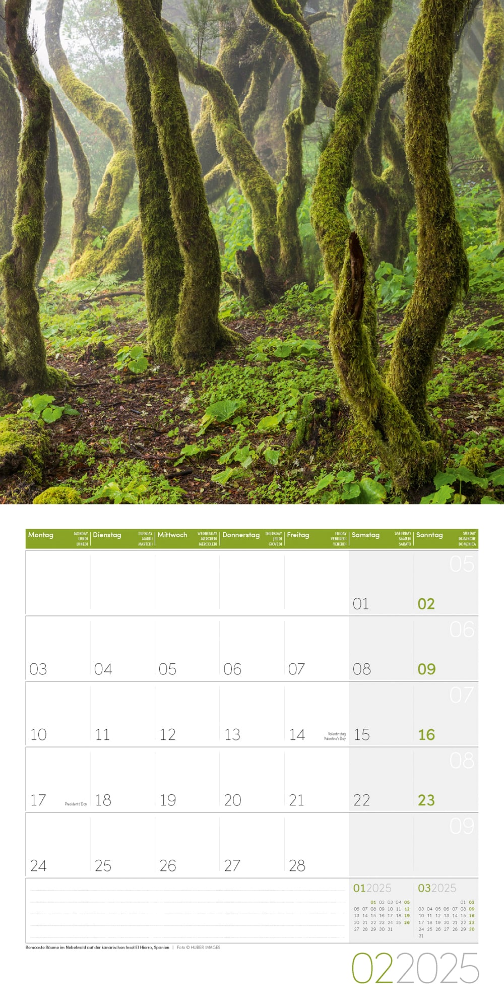 Art12 Collection Kalender Bäume 2025 - 30x30 - Innenansicht 02