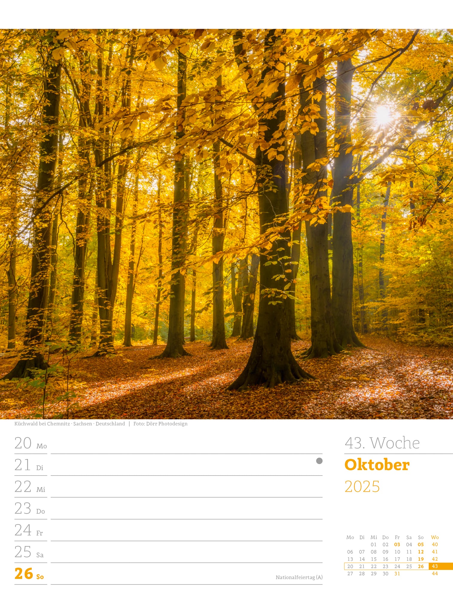 Ackermann Calendar Our Forest 2025 - Weekly Planner - Inside View 46