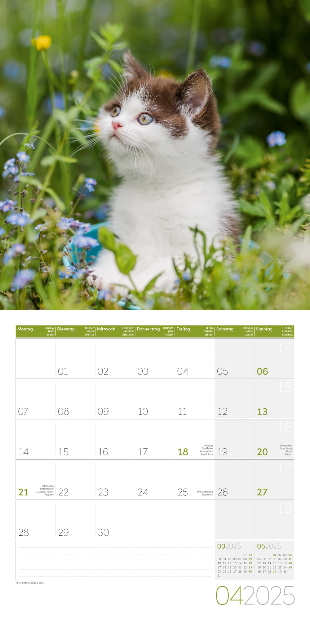 Art12 Collection Kalender Katzen 2025 - 30x30 - Innenansicht 04