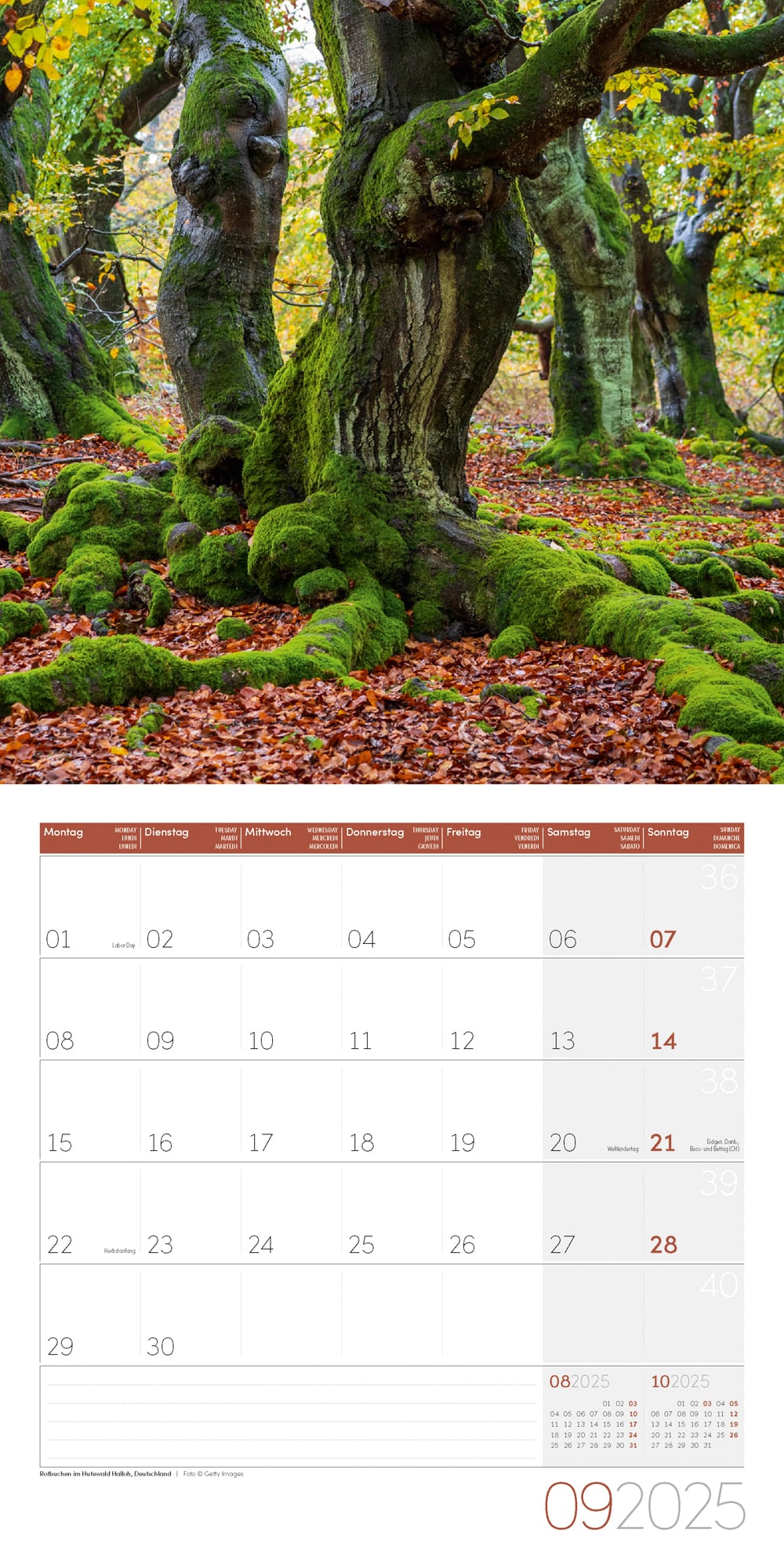 Art12 Collection Kalender Bäume 2025 - 30x30 - Innenansicht 09