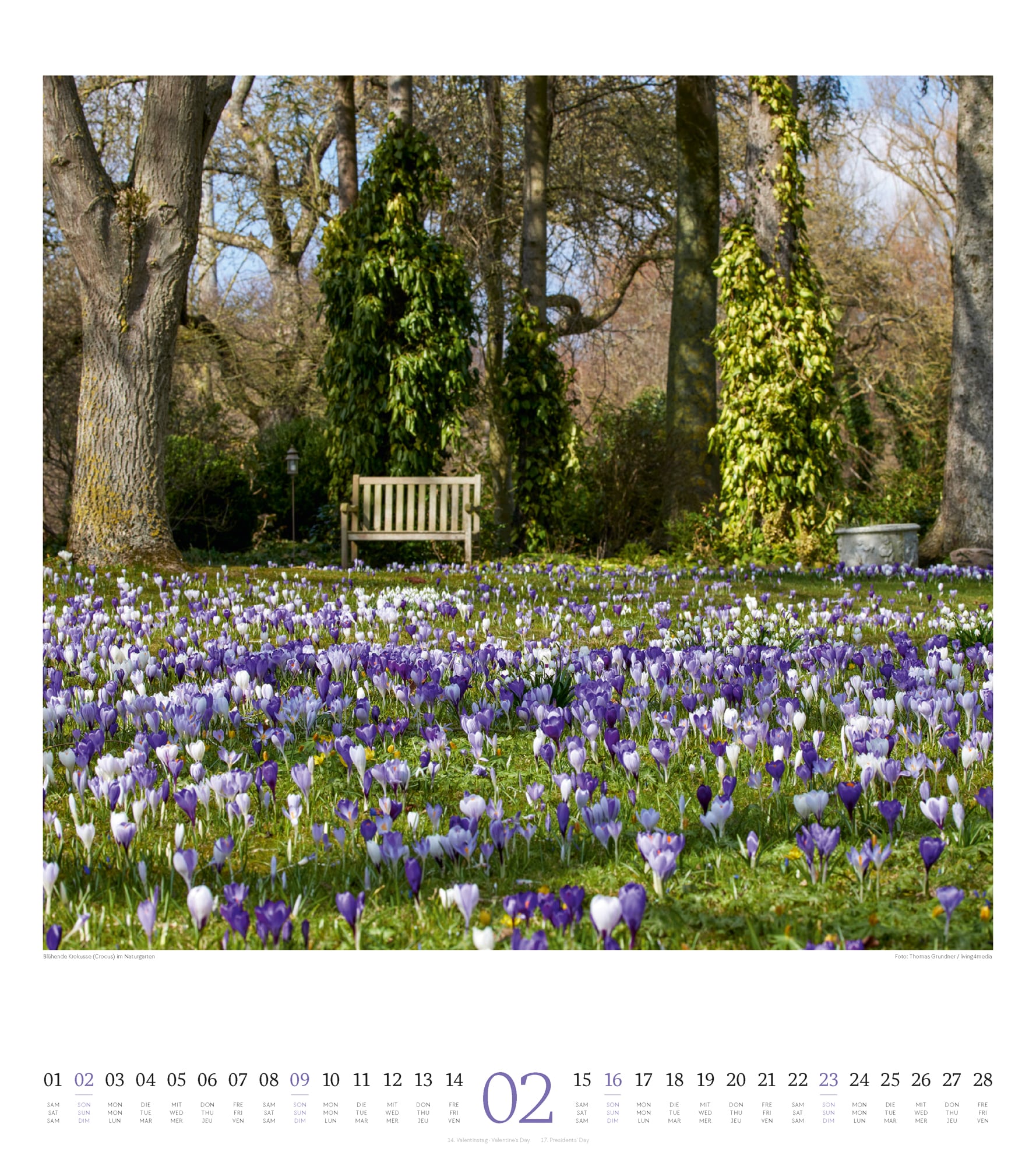 Ackermann Kalender Paradiesische Gärten 2025 - Innenansicht 02