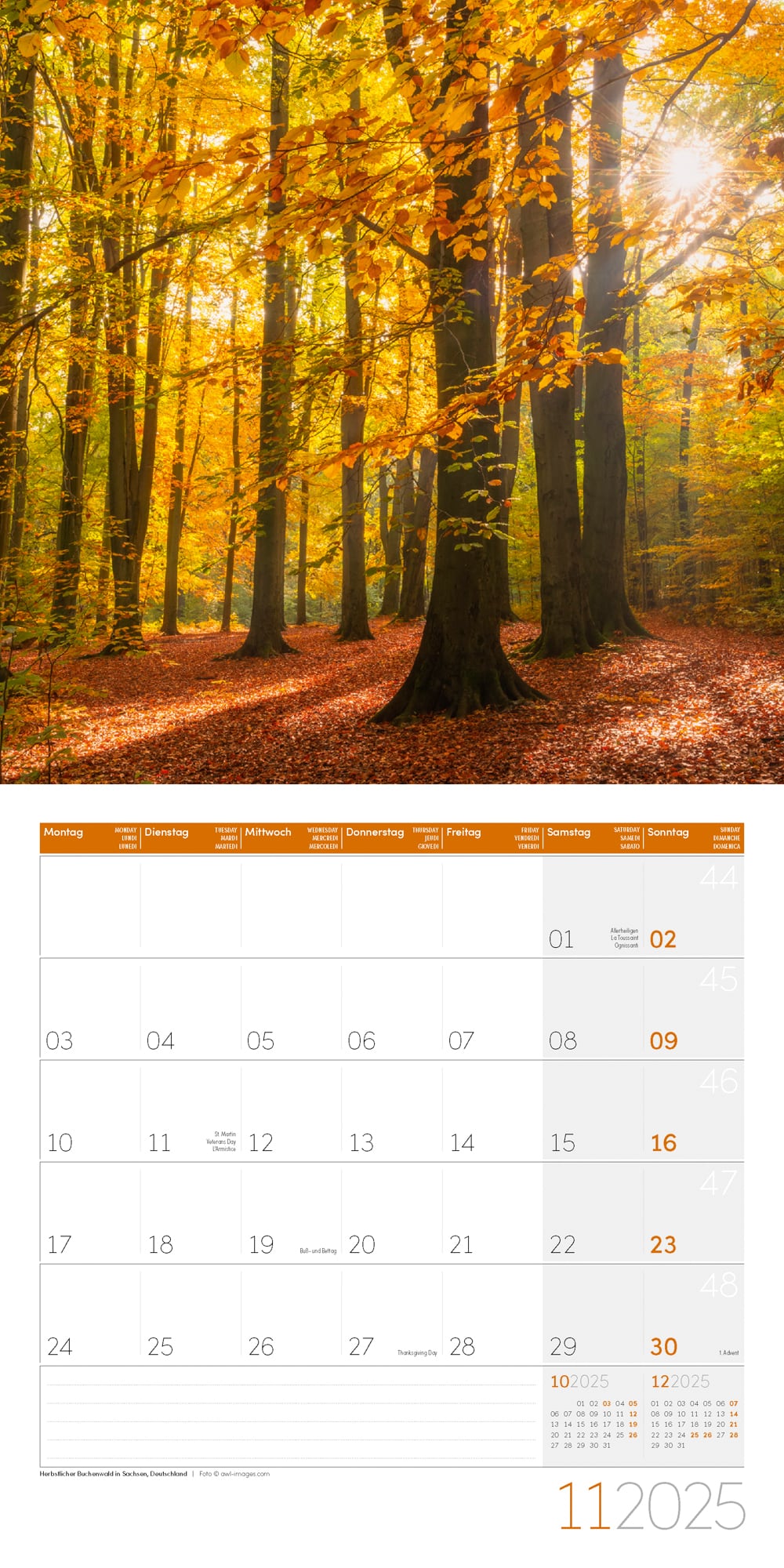 Art12 Collection Kalender Zauber des Waldes 2025 - 30x30 - Innenansicht 11