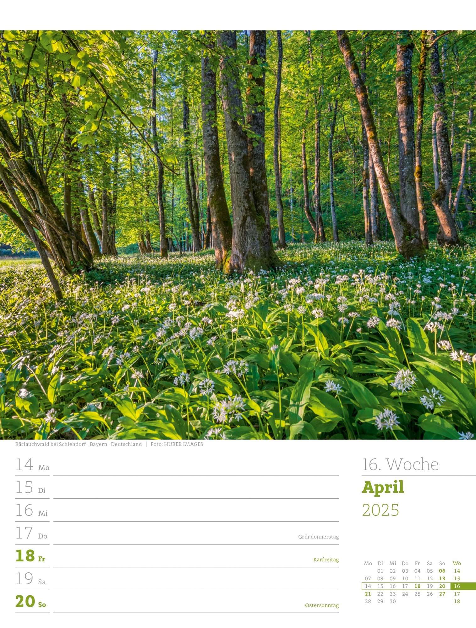 Ackermann Calendar Our Forest 2025 - Weekly Planner - Inside View 19