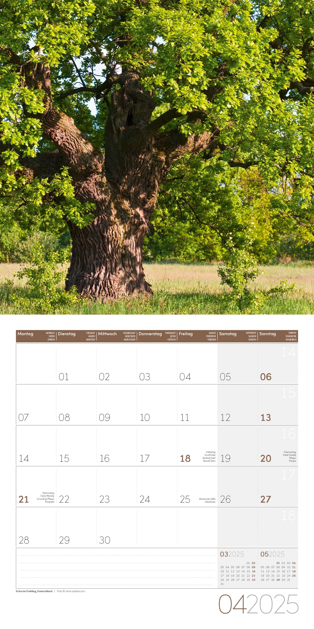 Art12 Collection Kalender Bäume 2025 - 30x30 - Innenansicht 04