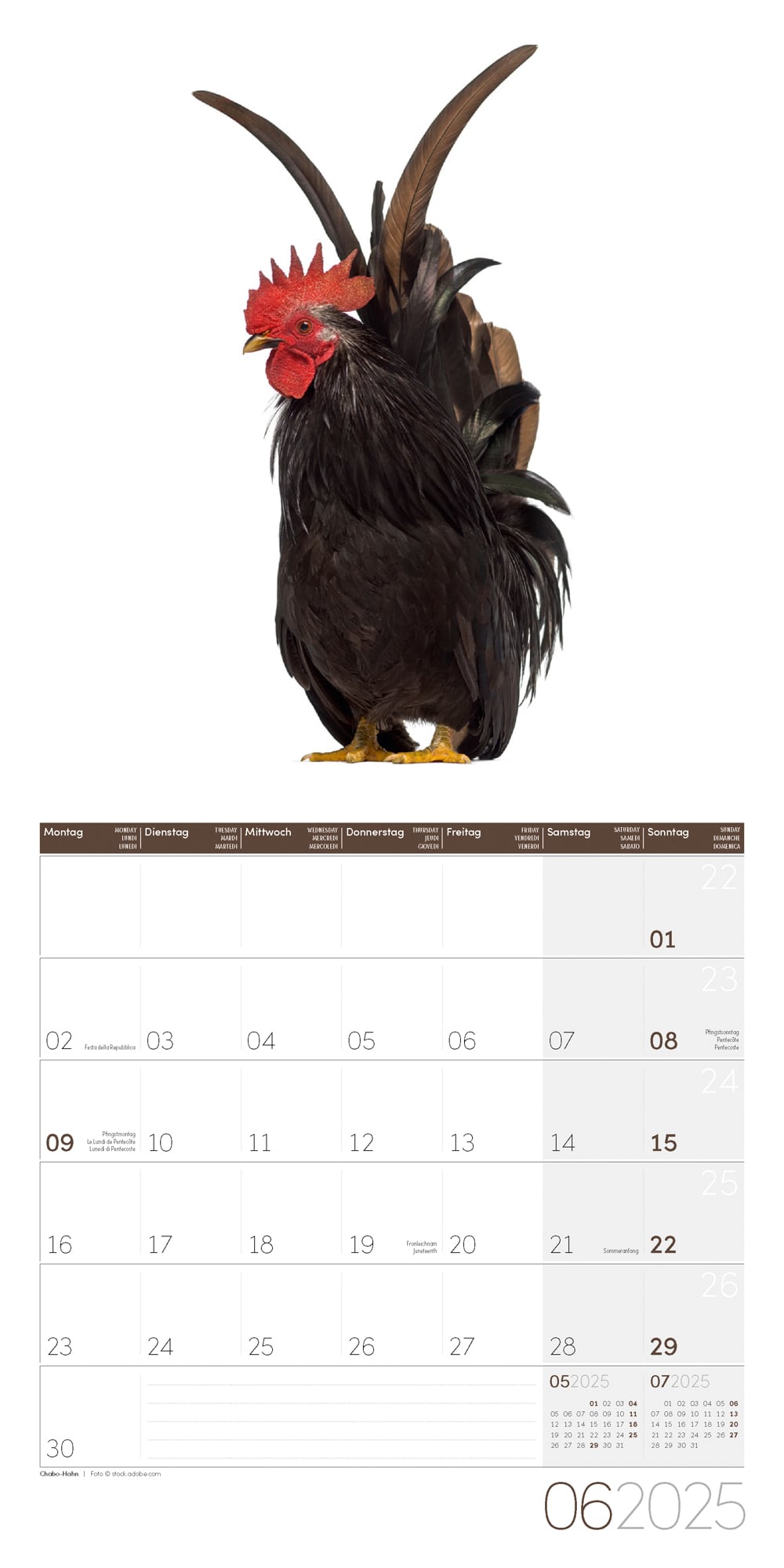 Art12 Collection Kalender Verrückte Hühner 2025 - 30x30 - Innenansicht 06