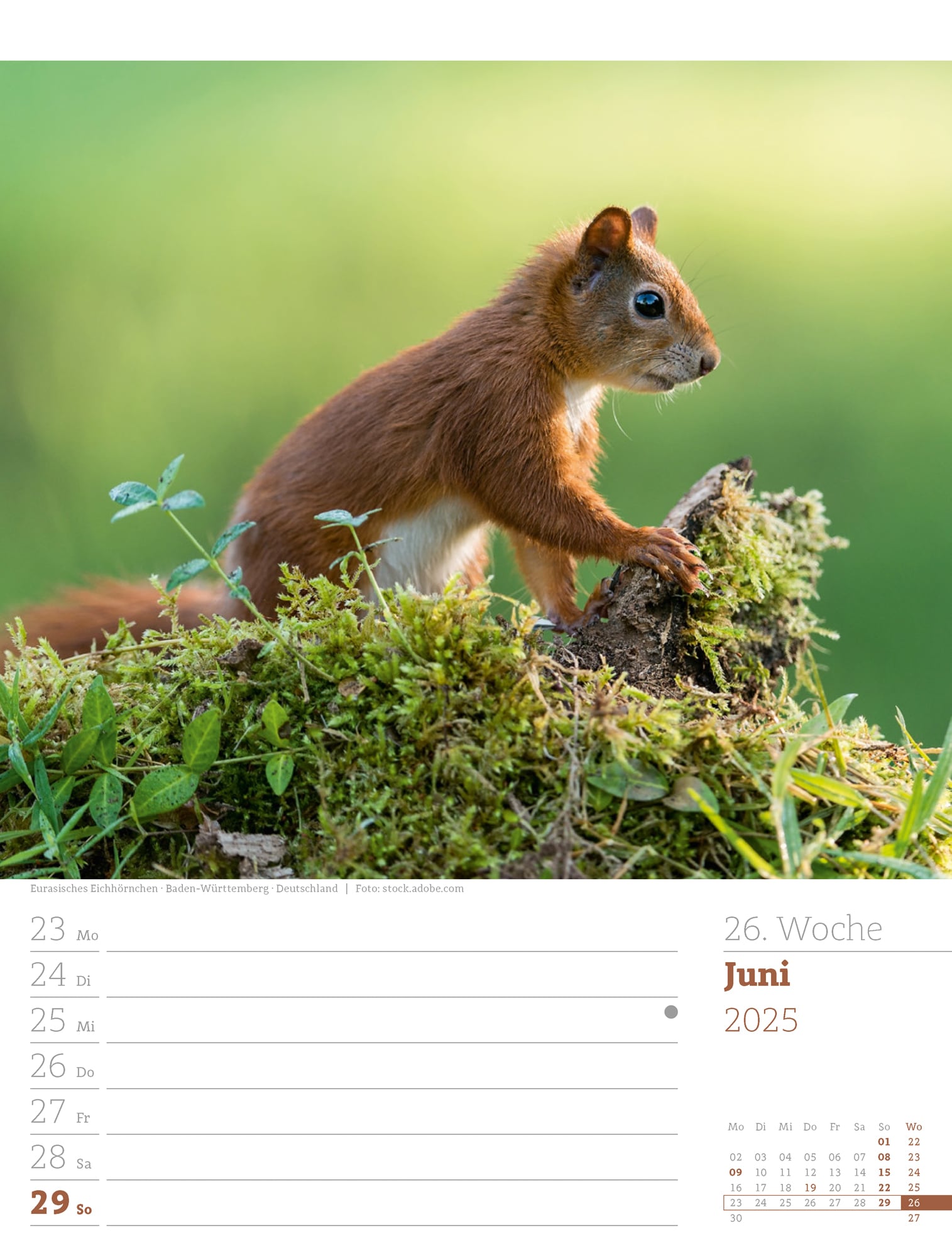 Ackermann Calendar Our Forest 2025 - Weekly Planner - Inside View 29