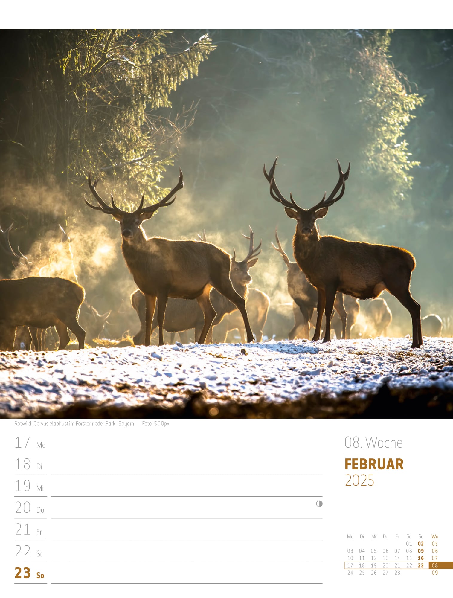 Ackermann Calendar Discover Germany 2025 - Weekly Planner - Inside View 11