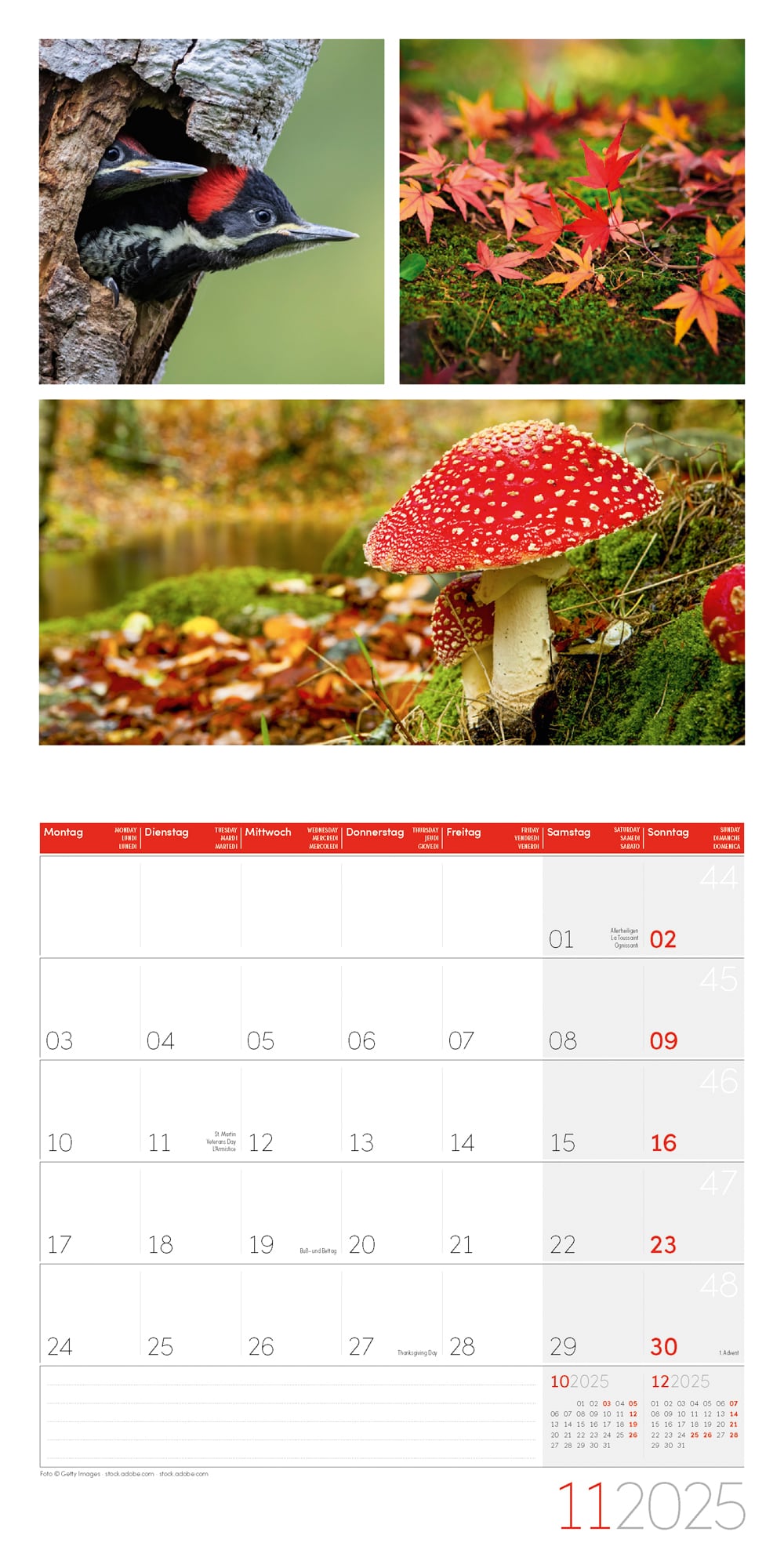 Art12 Collection Kalender Colours of Nature 2025 - 30x30 - Innenansicht 11