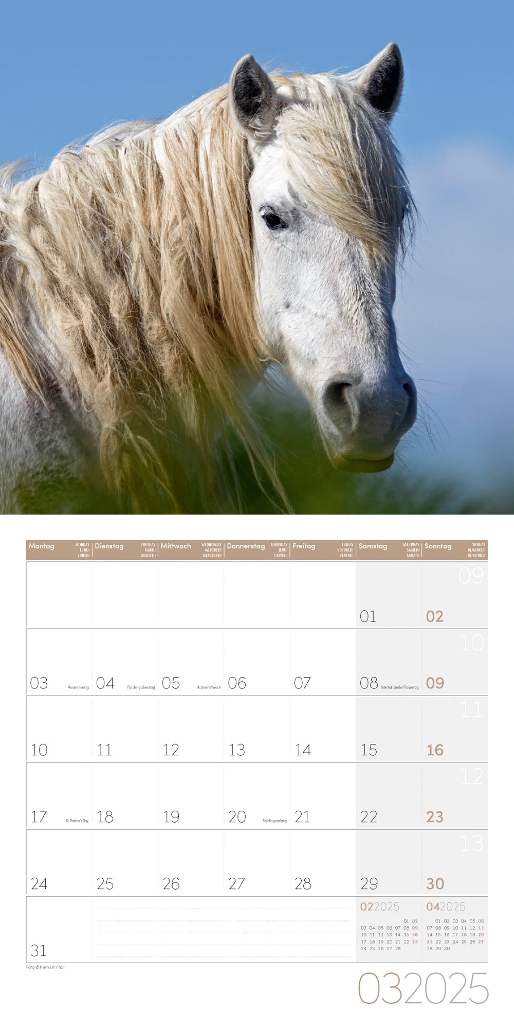 Art12 Collection Kalender Pferde 2025 - 30x30 - Innenansicht 03
