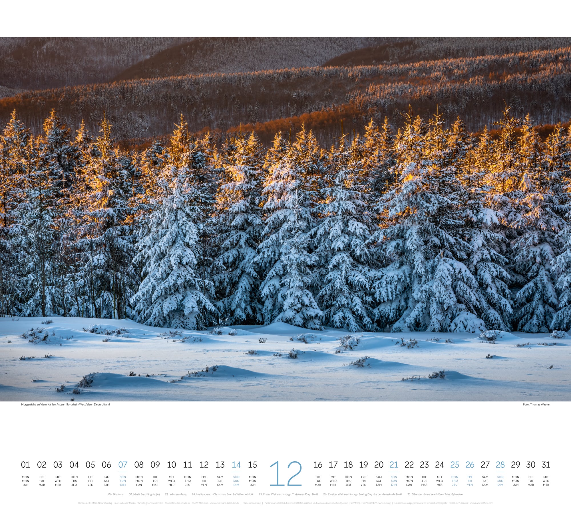 Ackermann Calendar Forest 2025 - Inside View 12