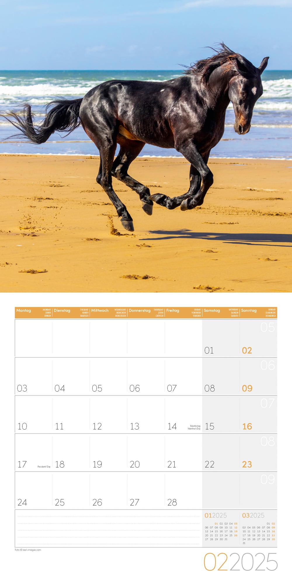 Art12 Collection Kalender Pferde 2025 - 30x30 - Innenansicht 02