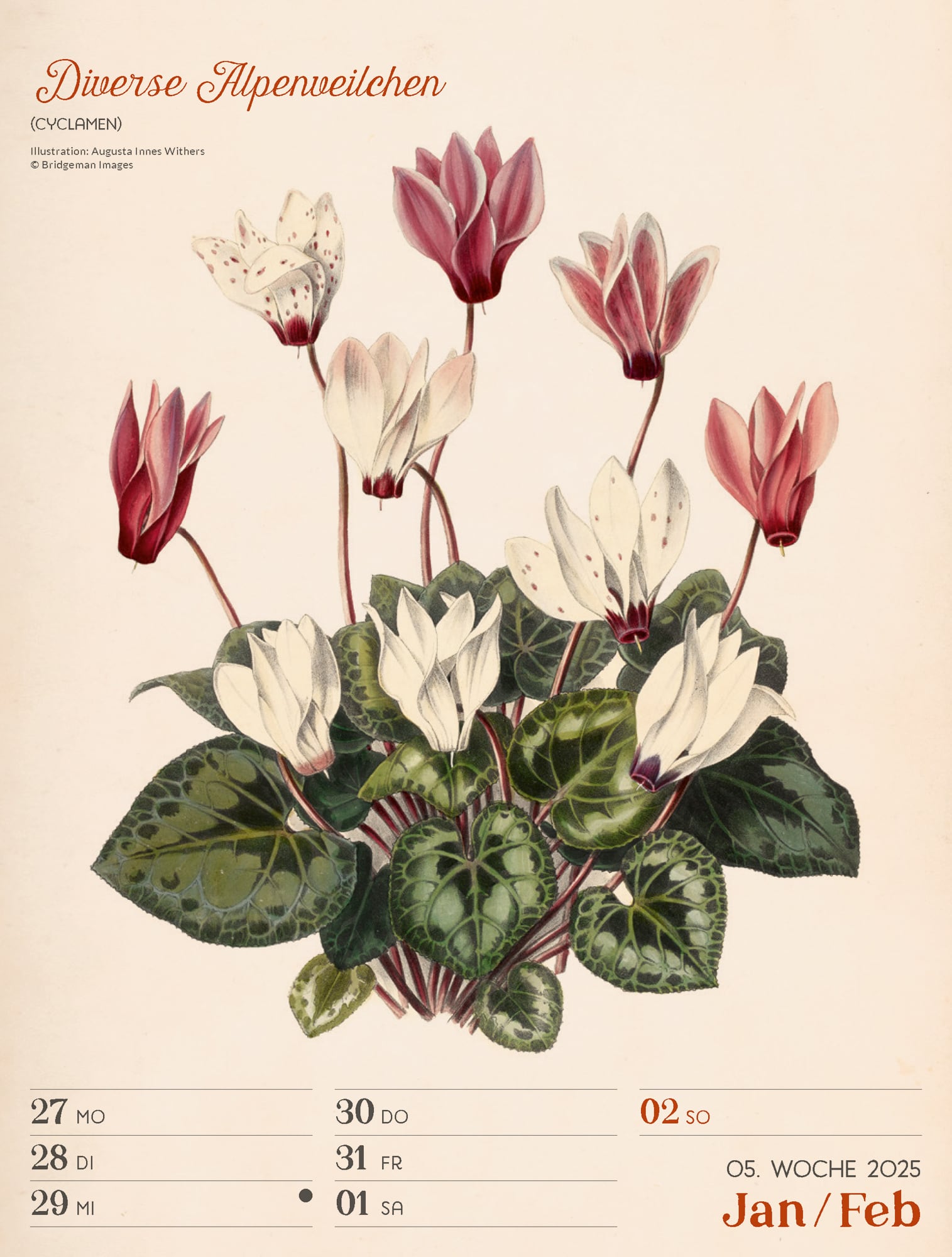 Ackermann Calendar Ars Floralis 2025 - Weekly Planner - Inside View 08