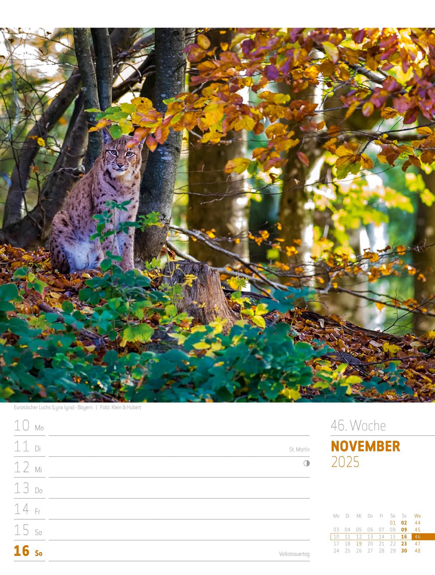 Ackermann Calendar Discover Germany 2025 - Weekly Planner - Inside View 49