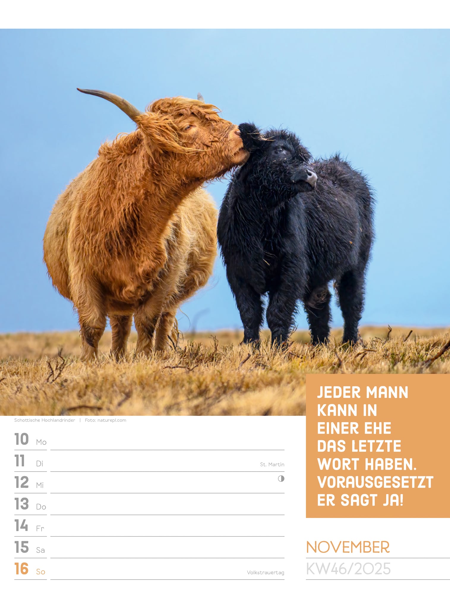 Ackermann Calendar Animals 2025 - Weekly Planner - Inside View 49