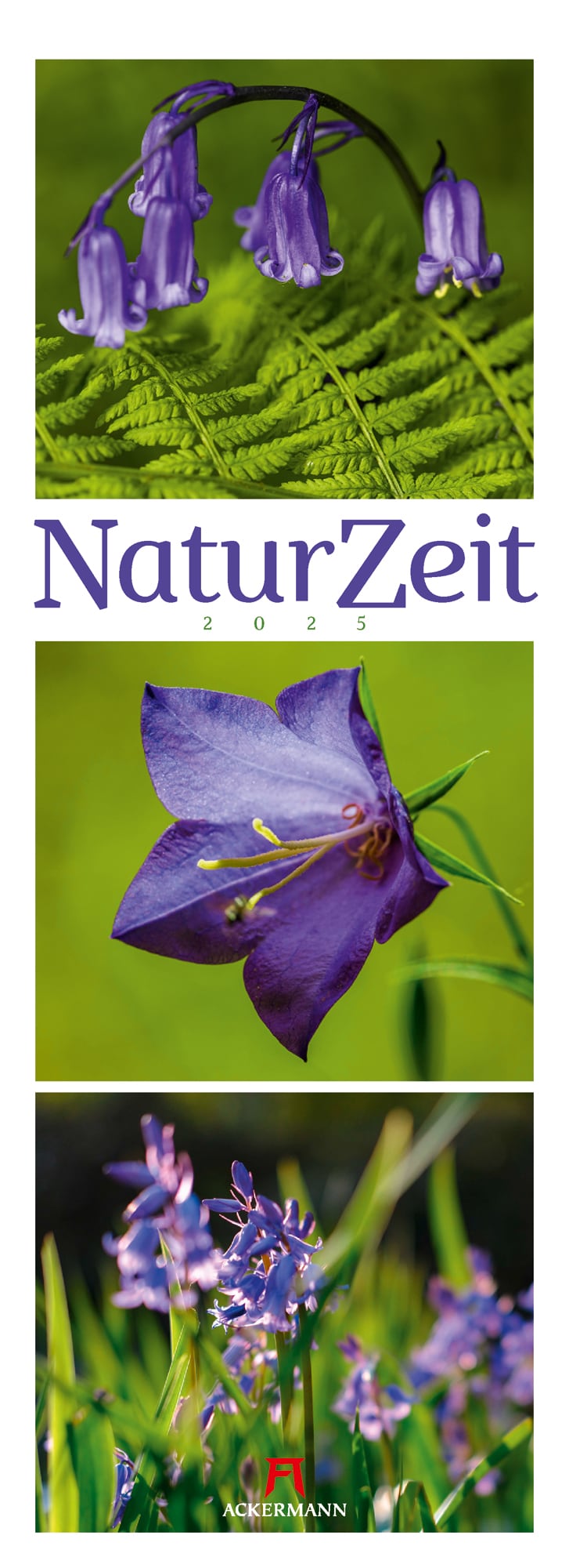 Ackermann Kalender NaturZeit 2025 - Titelblatt
