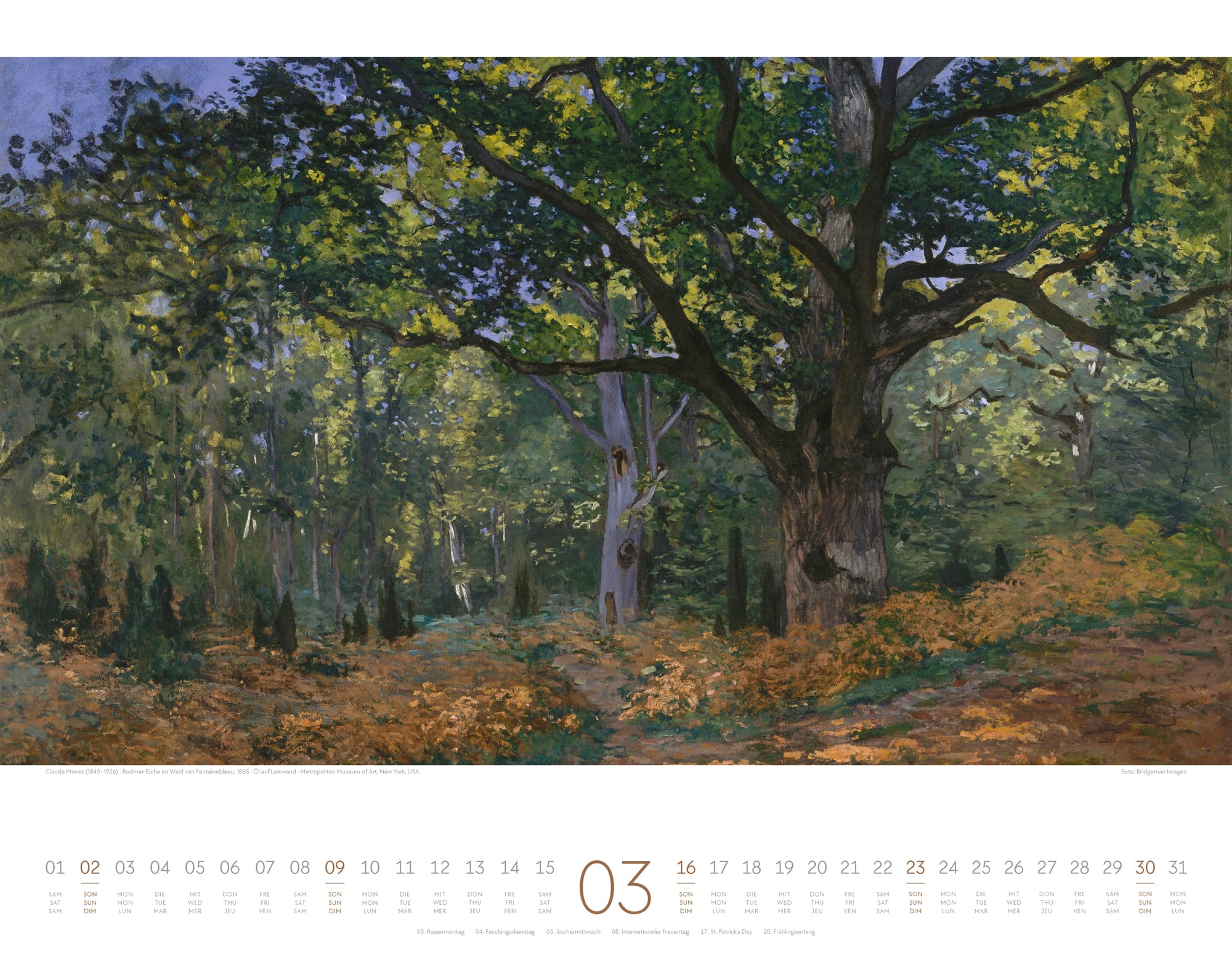 Ackermann Kalender Kunstwerk Wald 2025 - Innenansicht 03