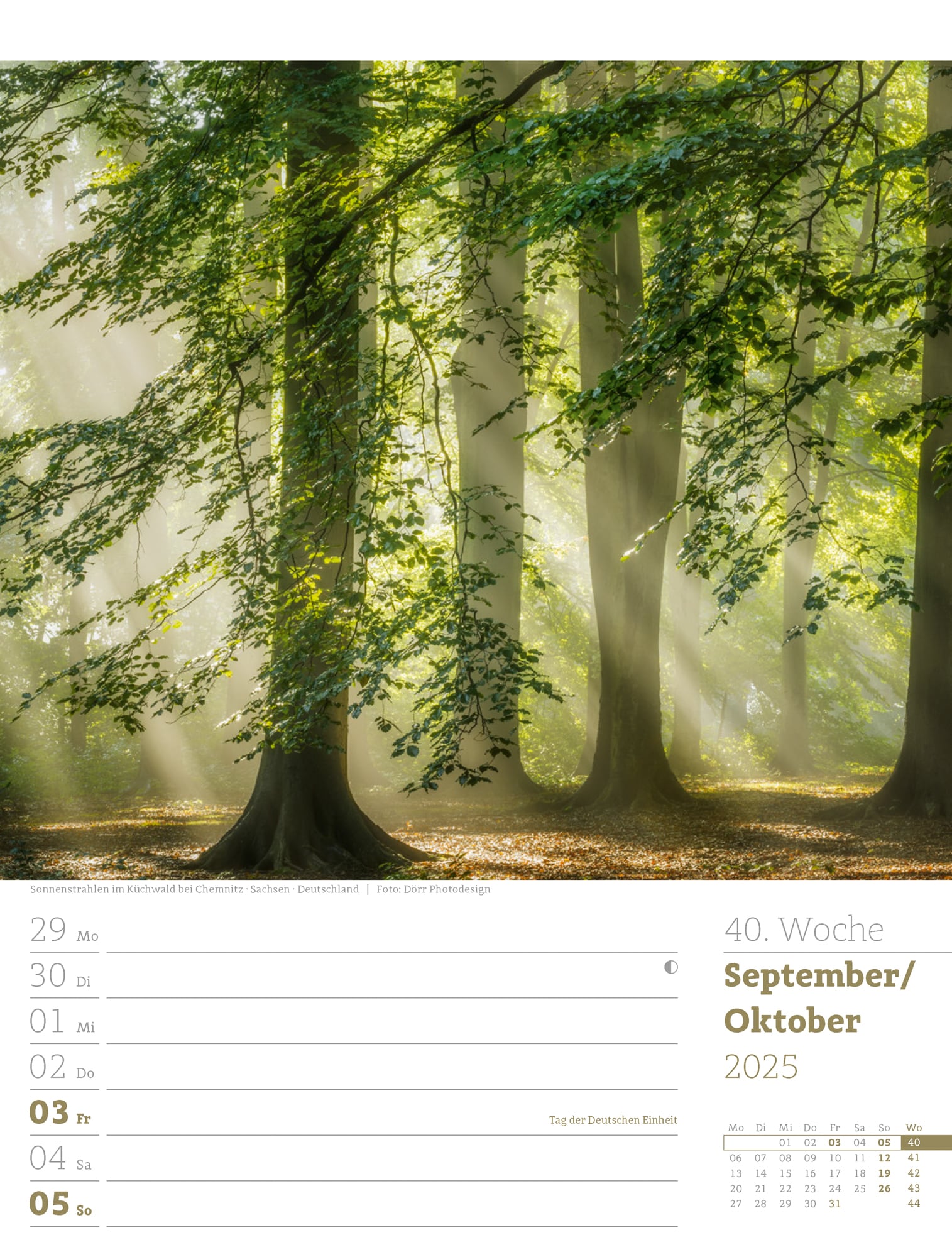Ackermann Calendar Our Forest 2025 - Weekly Planner - Inside View 43