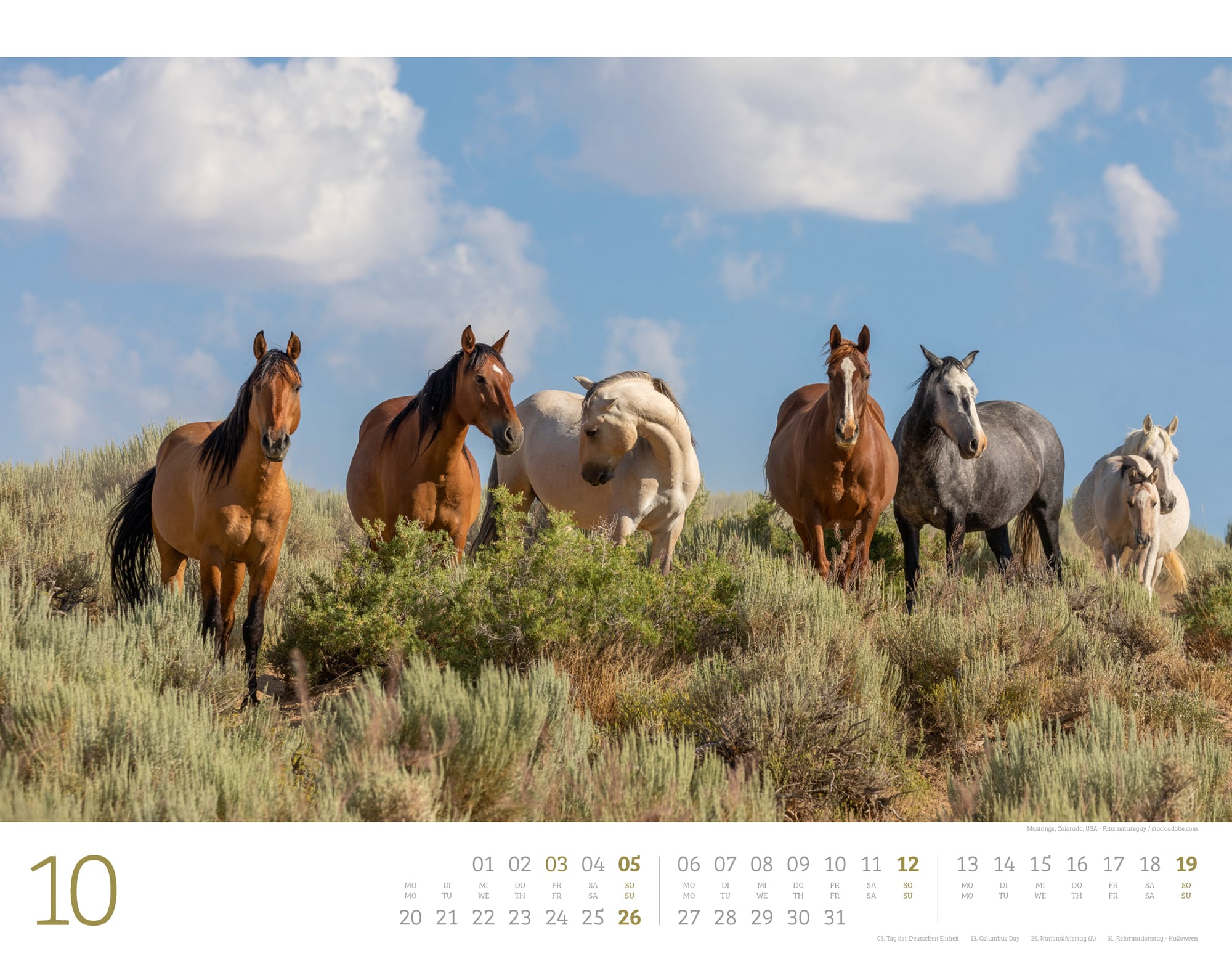 Ackermann Calendar Wild Horses 2025 - Inside View 10