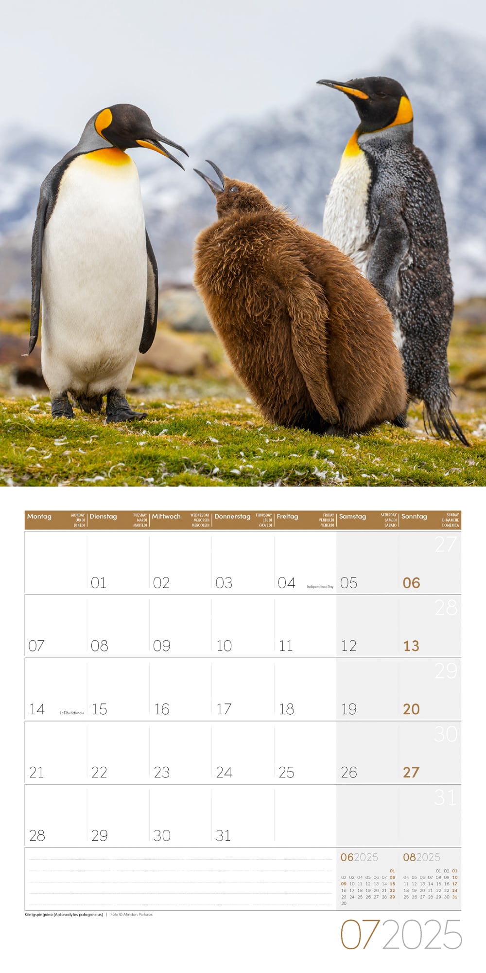Art12 Collection Kalender Pinguine 2025 - 30x30 - Innenansicht 07