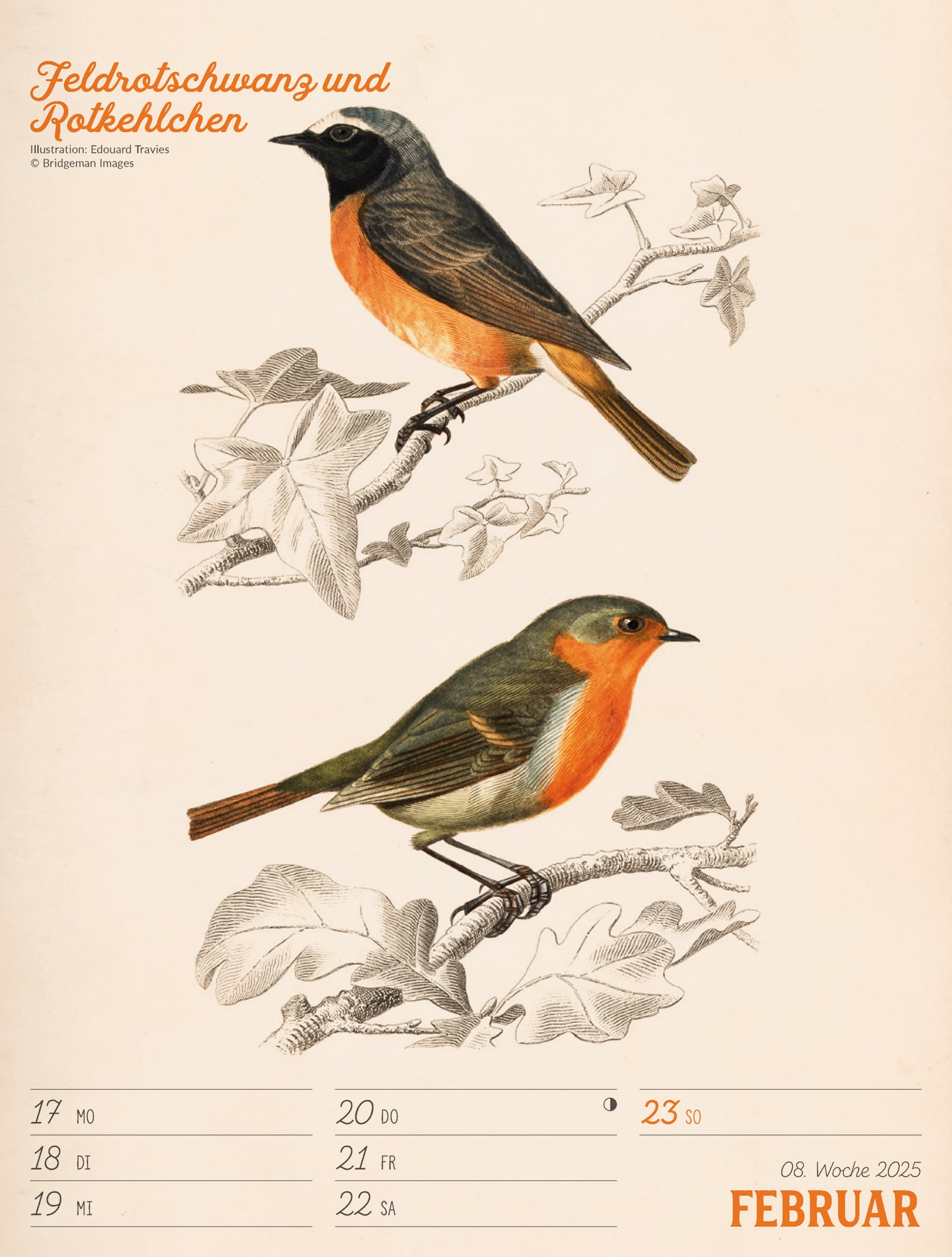 Ackermann Calendar The wonderful World of Birds 2025 - Weekly Planner - Inside View 11