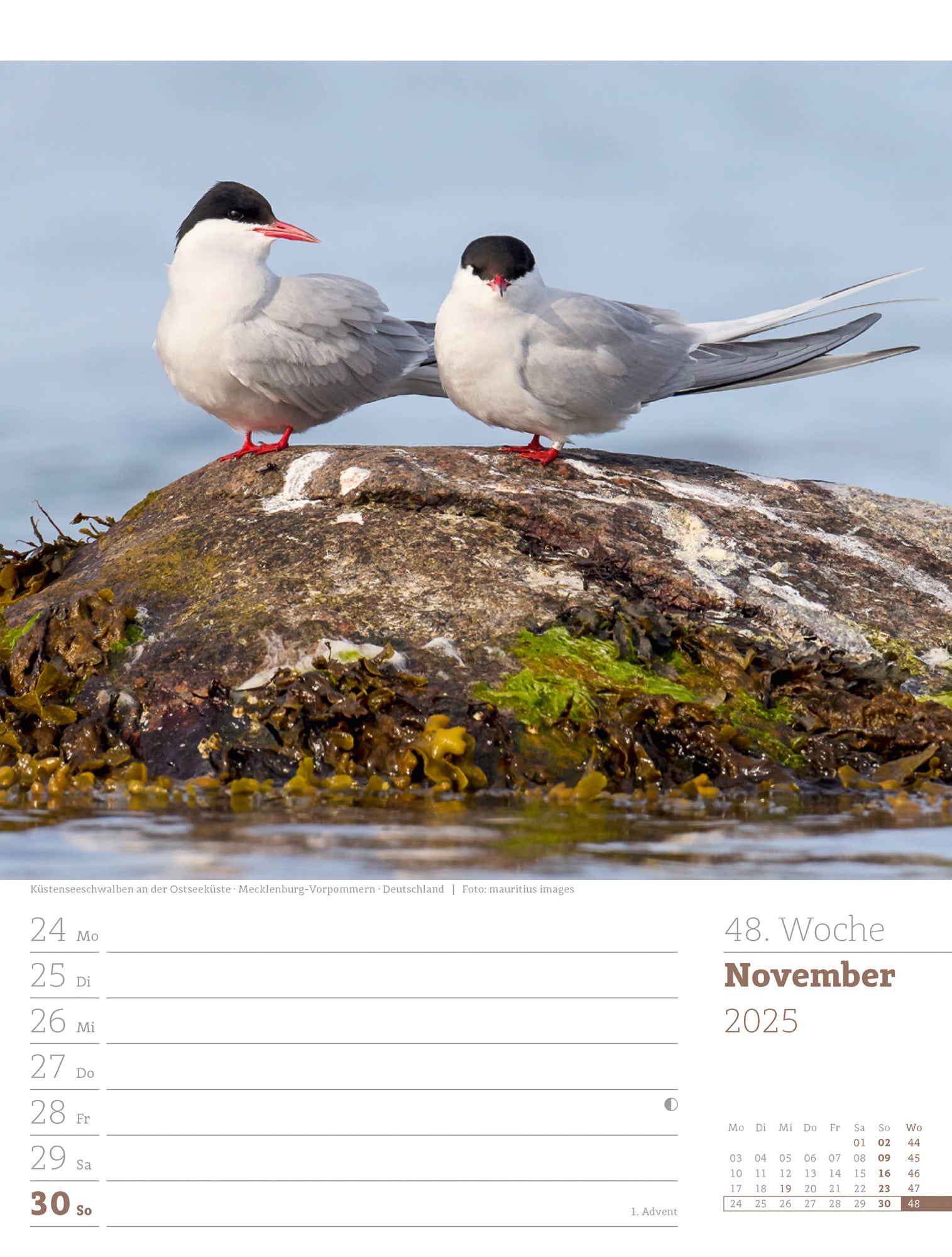 Ackermann Calendar At the Seaside 2025 - Weekly Planner - Inside View 51