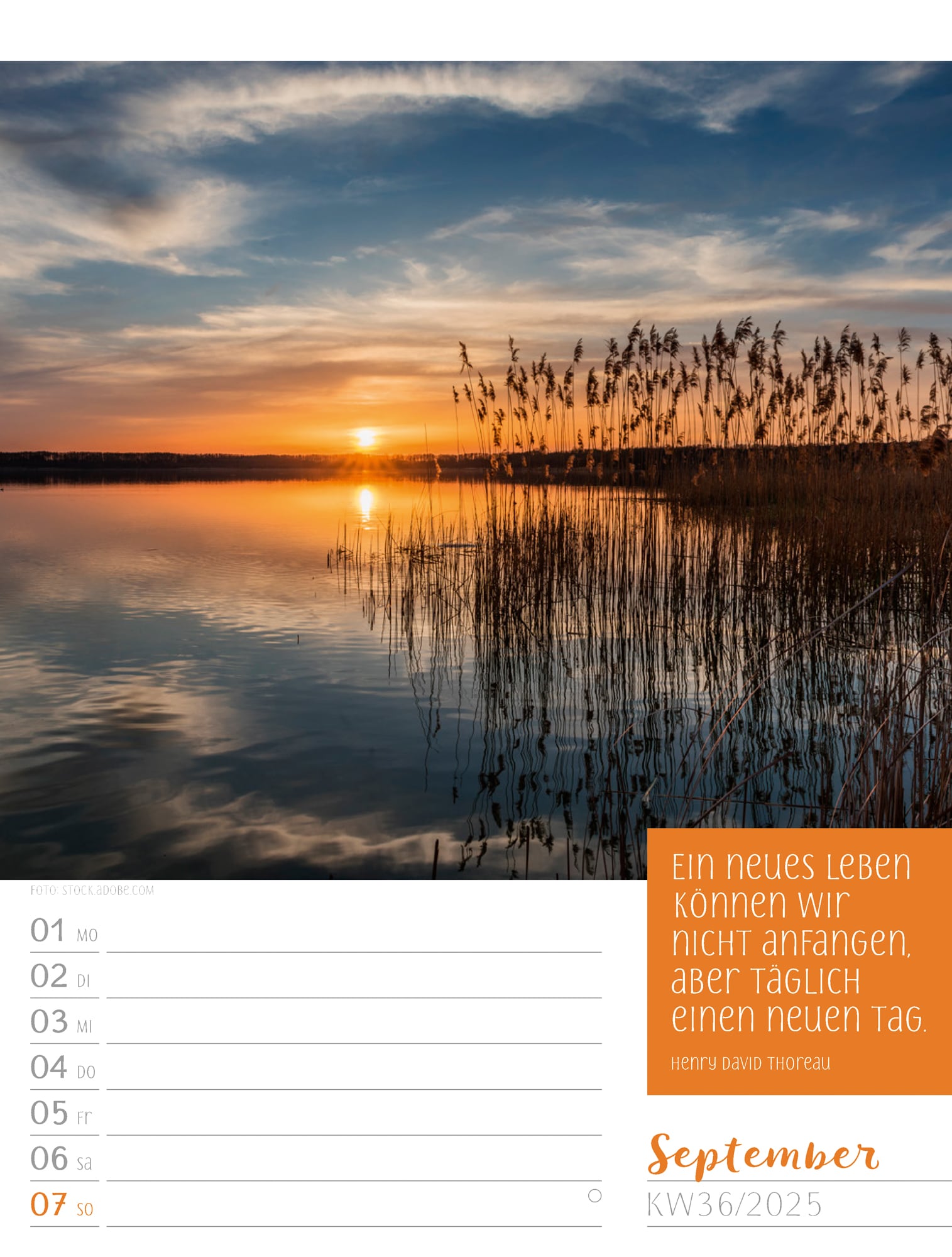 Ackermann Calendar Moments 2025 - Weekly Planner - Inside View 39