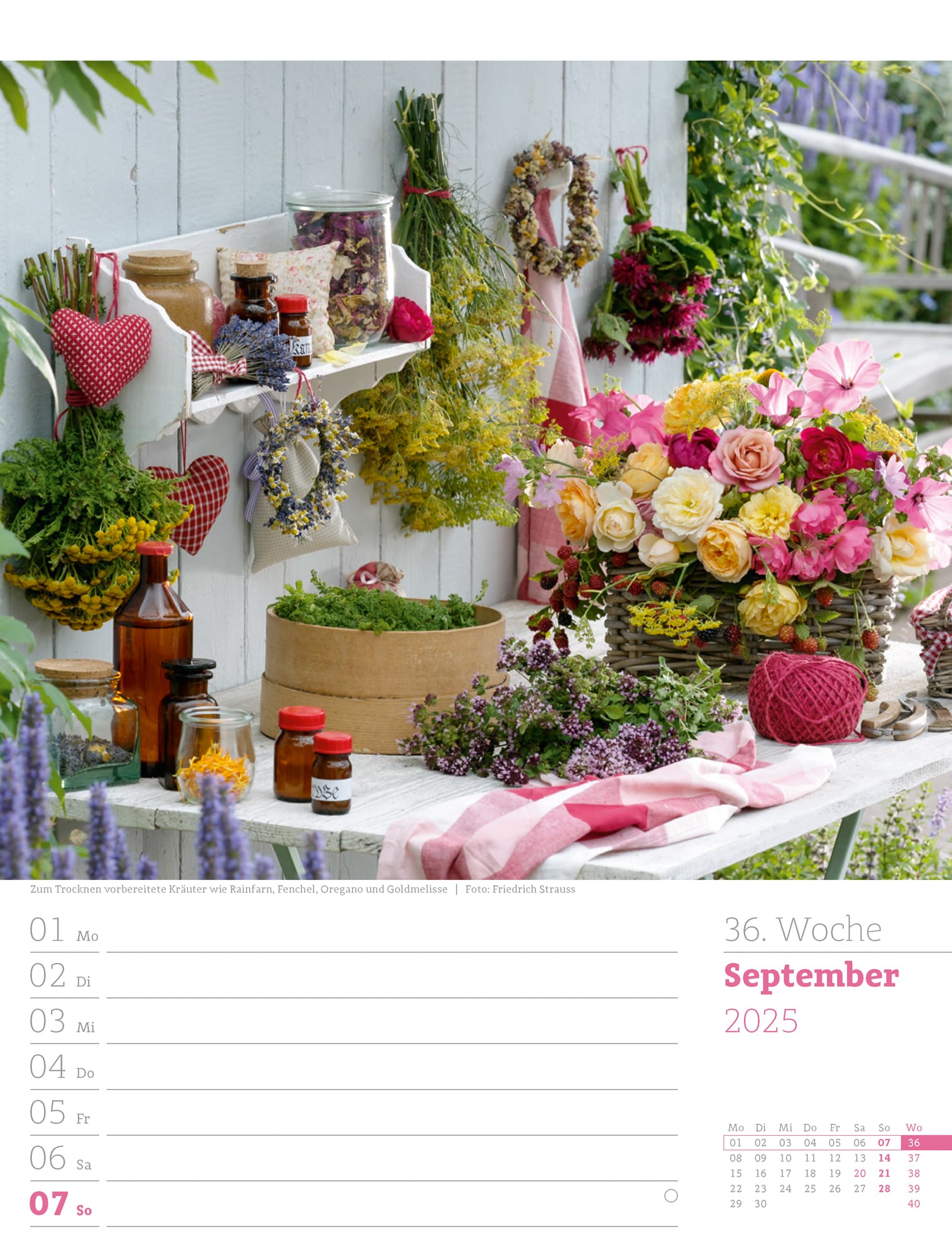 Ackermann Calendar Beautiful Gardens 2025 - Weekly Planner - Inside View 39