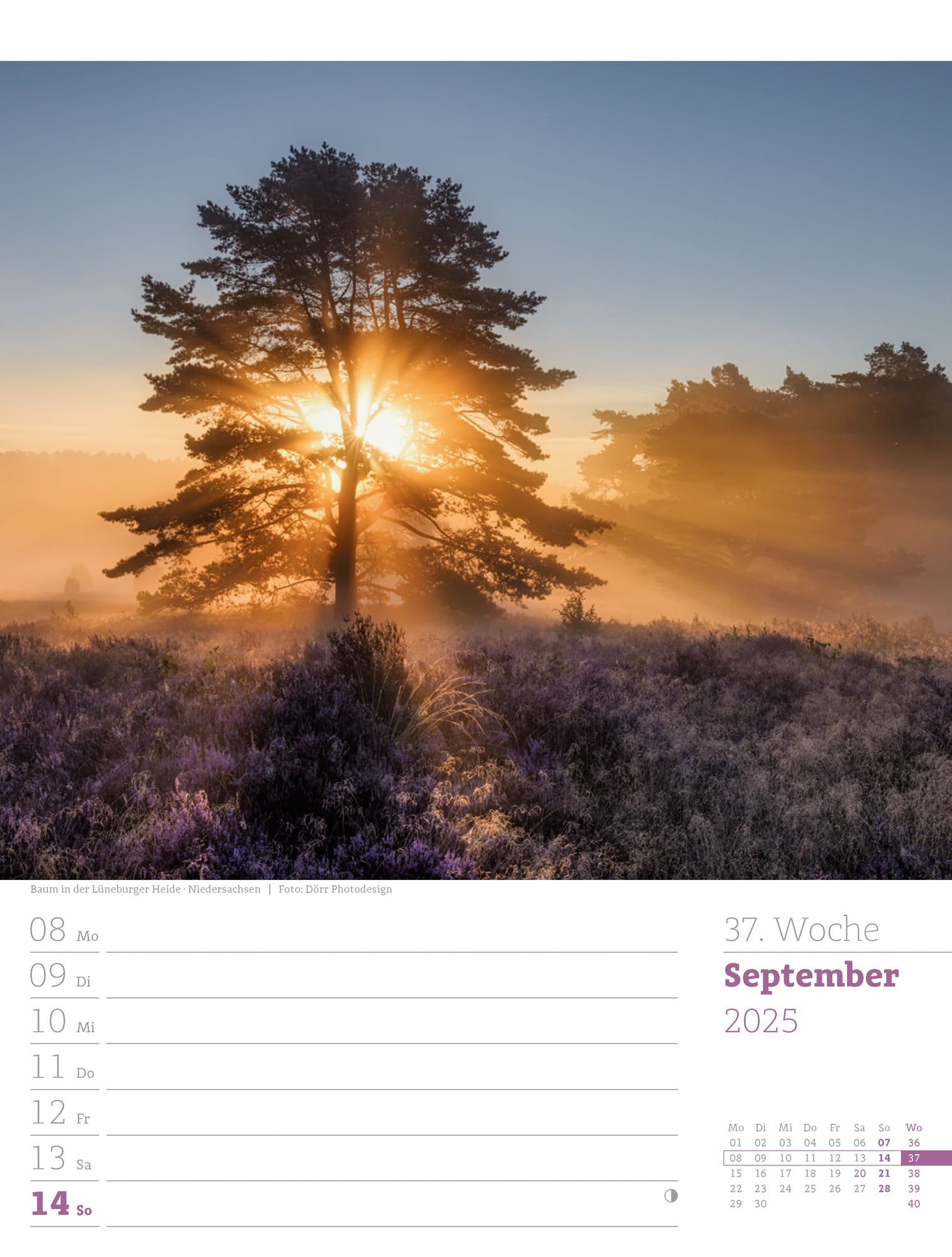 Ackermann Calendar Germany 2025 - Weekly Planner - Inside View 40