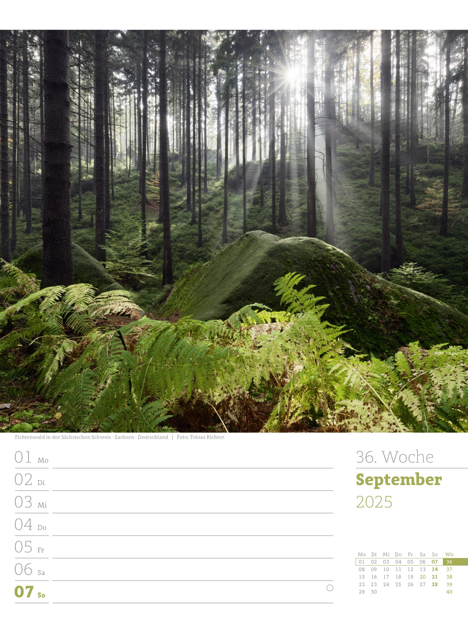 Ackermann Calendar Our Forest 2025 - Weekly Planner - Inside View 39