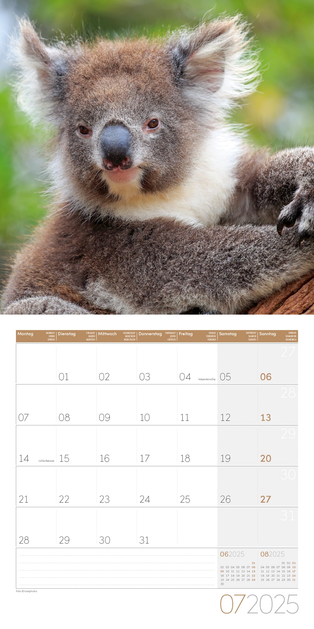 Art12 Collection Kalender Koalas 2025 - 30x30 - Innenansicht 07